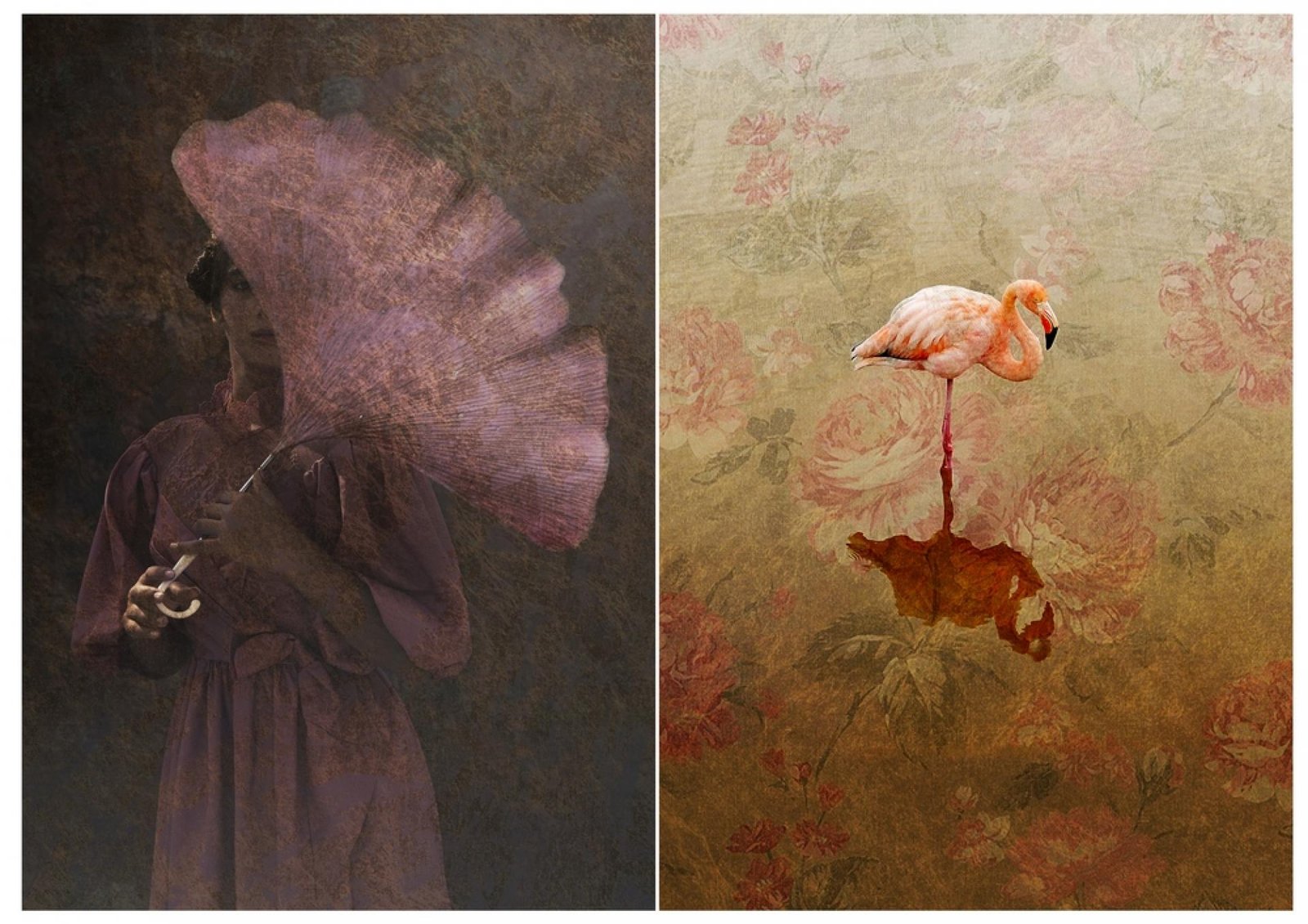London Photography Awards Winner - Tithe Muse