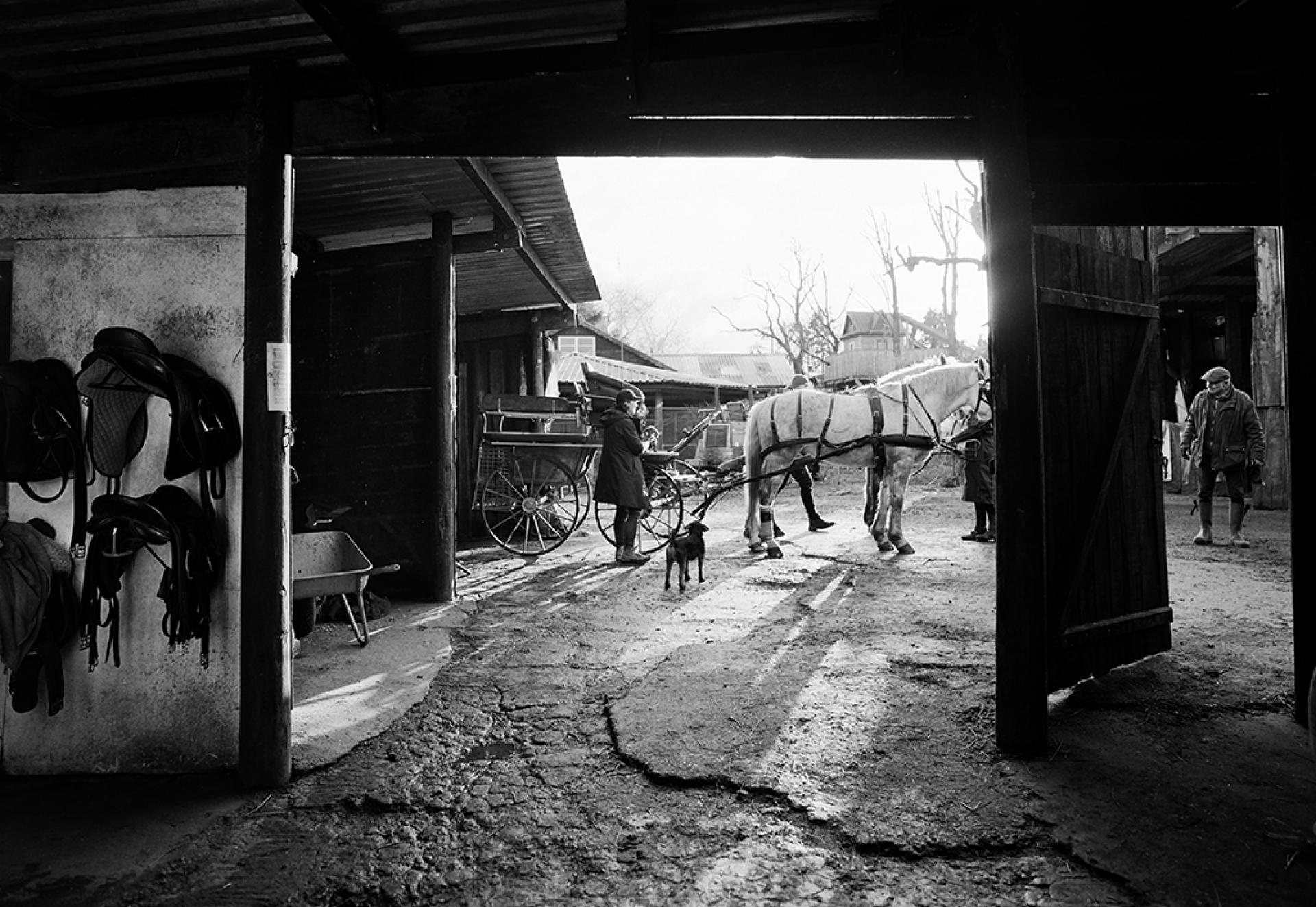 London Photography Awards Winner - The Devils