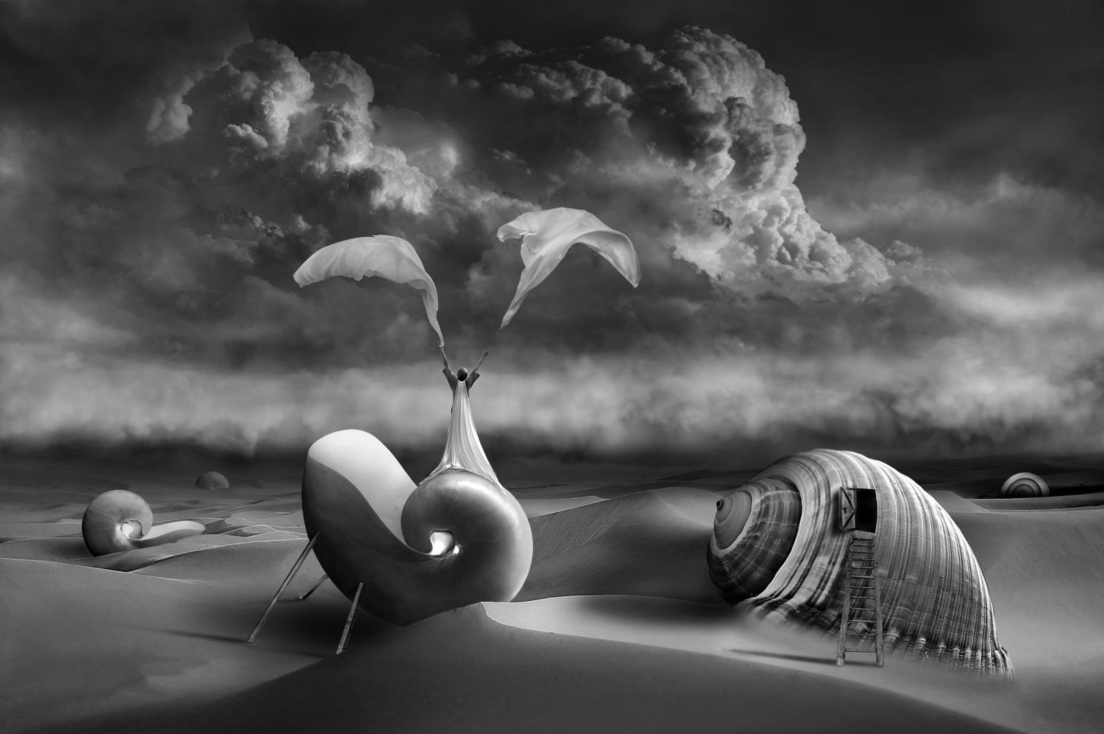 London Photography Awards Winner - Shell Island