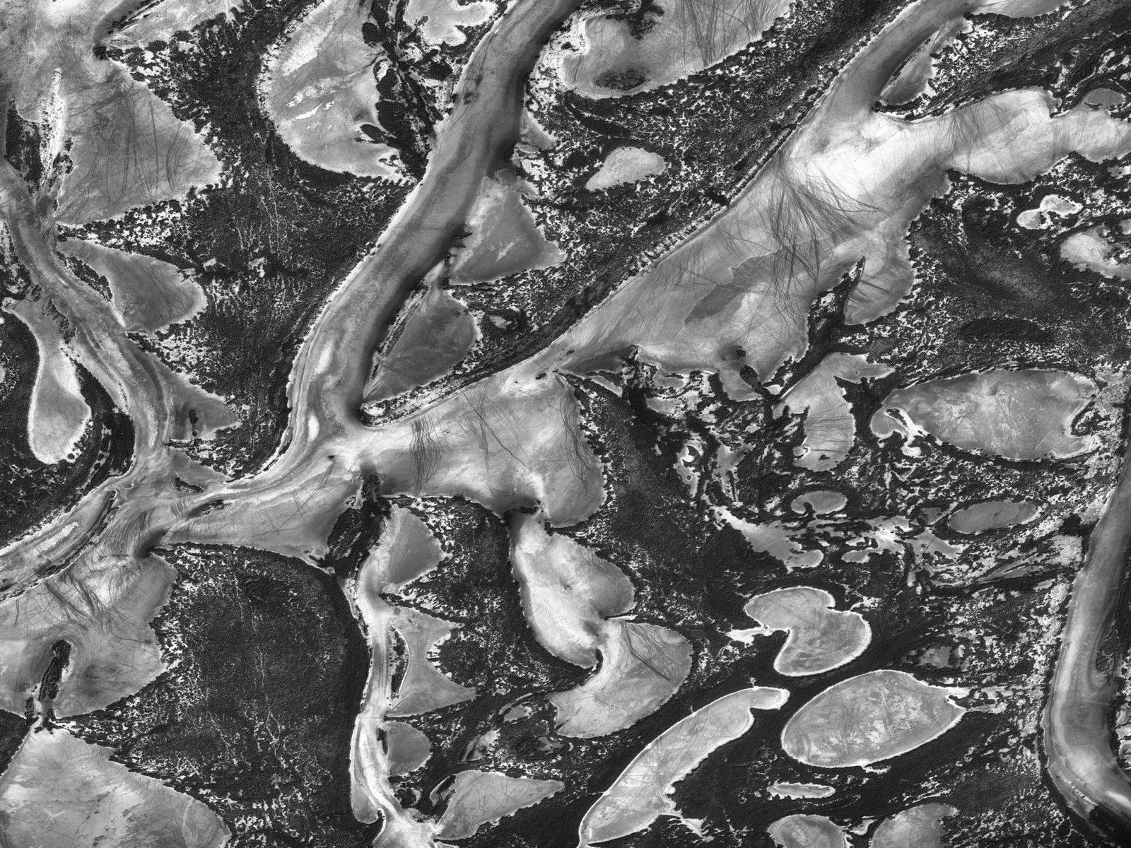 London Photography Awards Winner - Songlines 12 