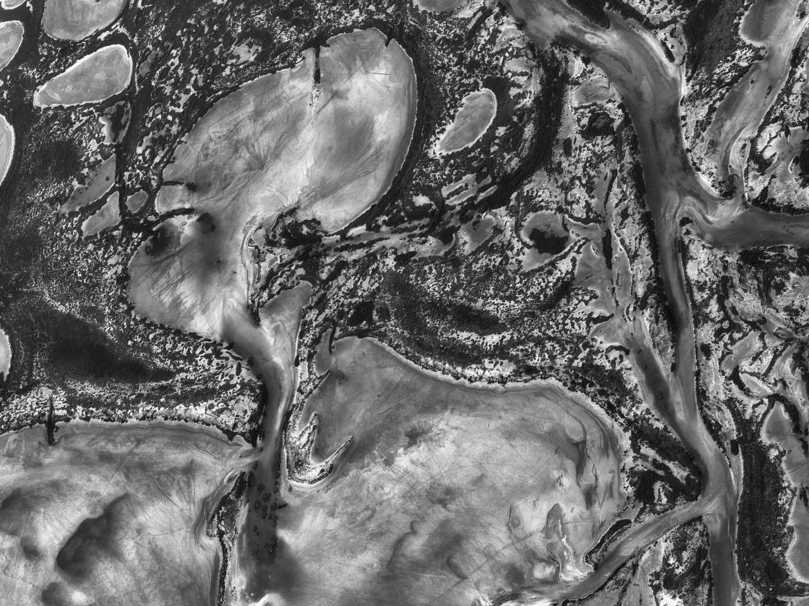 London Photography Awards Winner - Songlines 12 