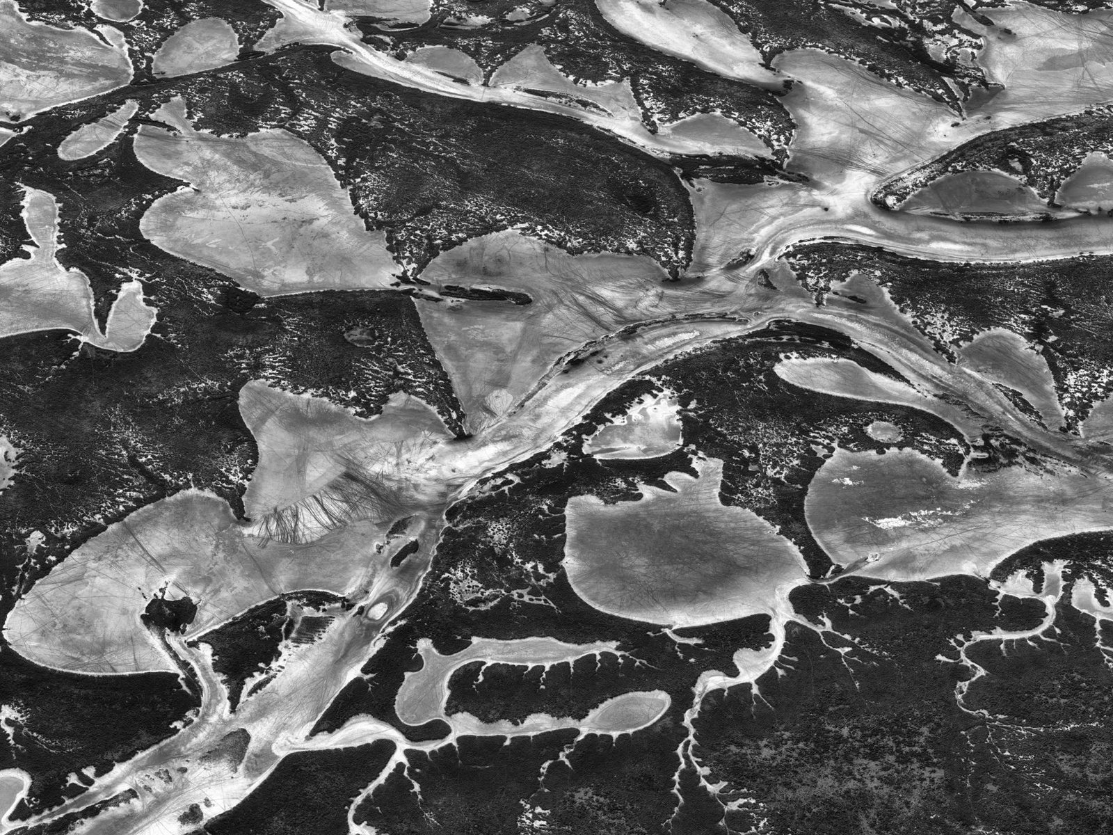 London Photography Awards Winner - Songlines 12 