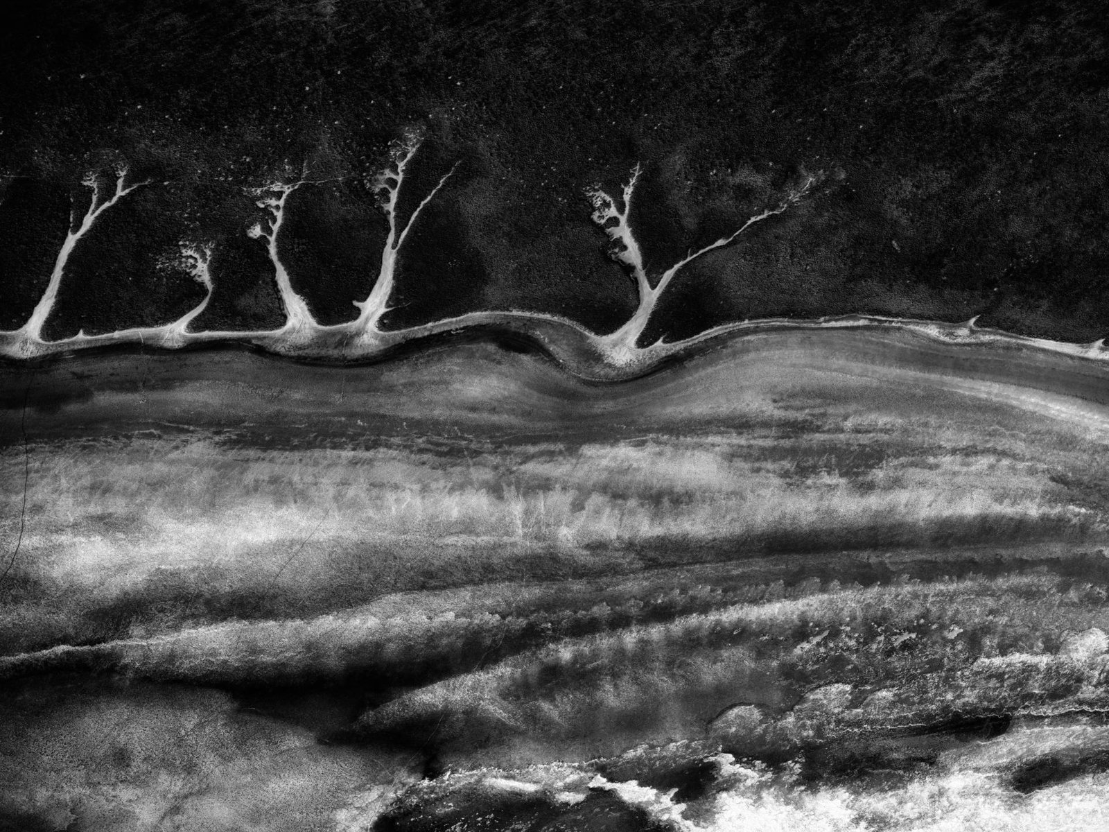 London Photography Awards Winner - Songlines 12 