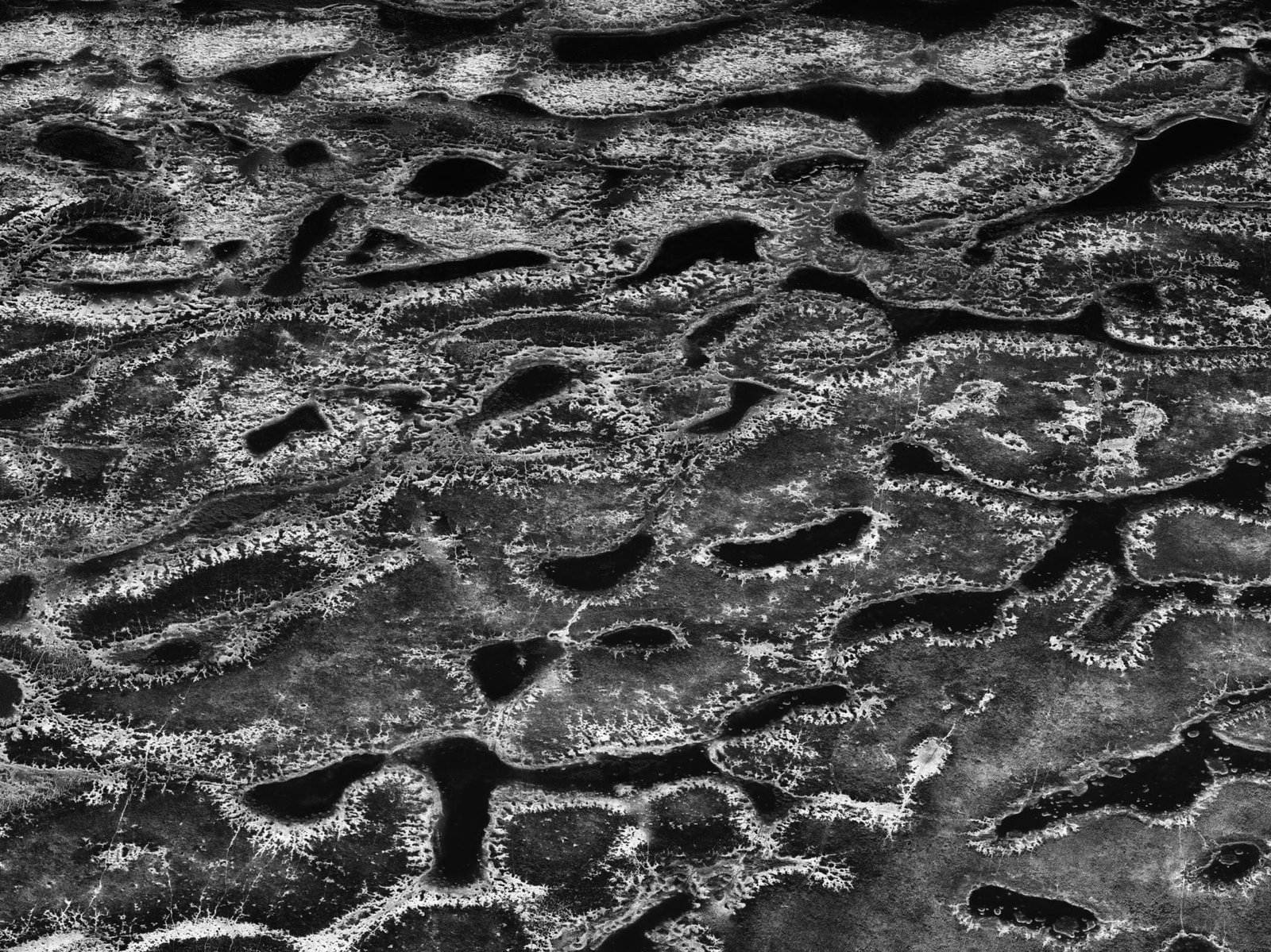 London Photography Awards Winner - Songlines 12 