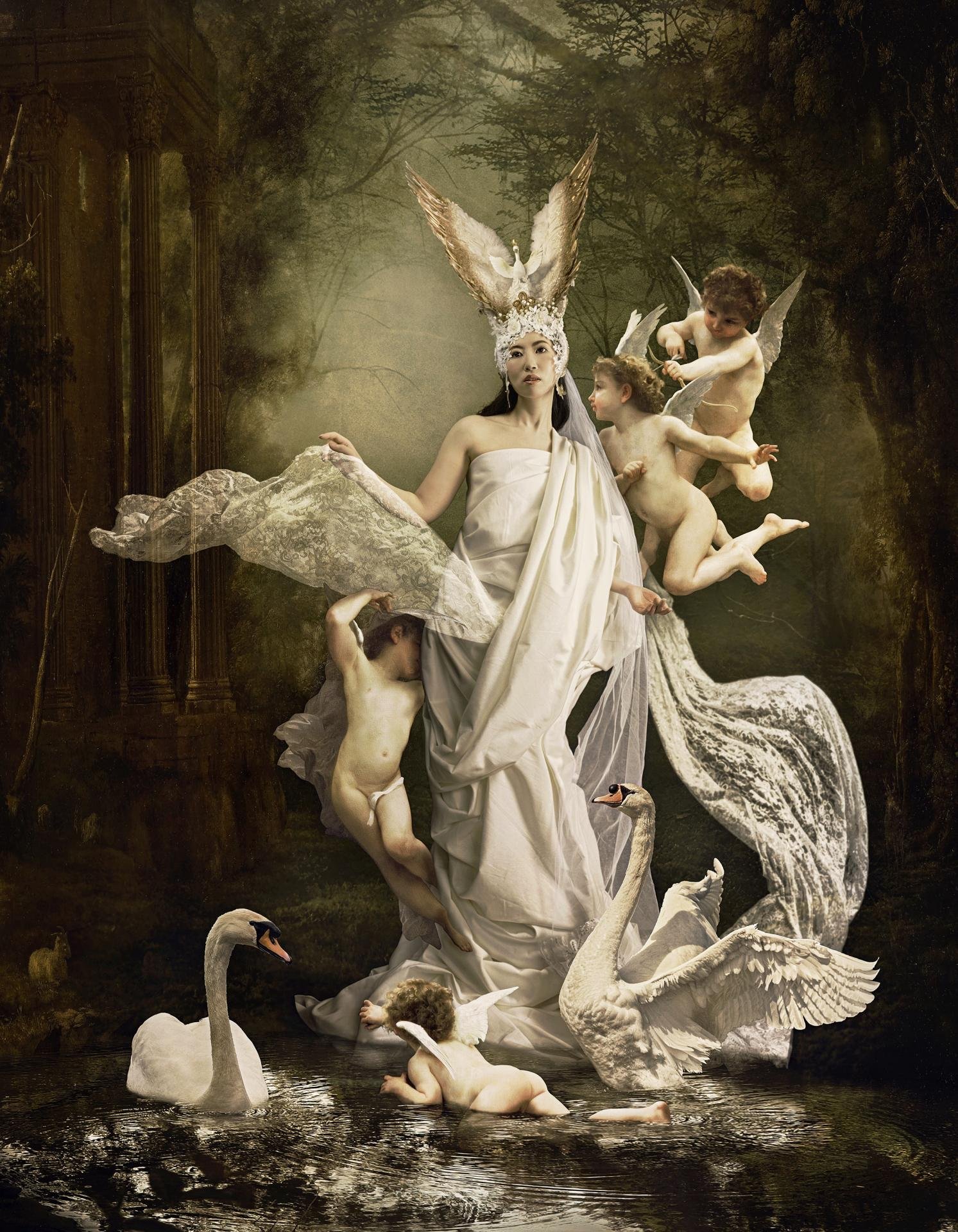 London Photography Awards Winner - Swan Lake