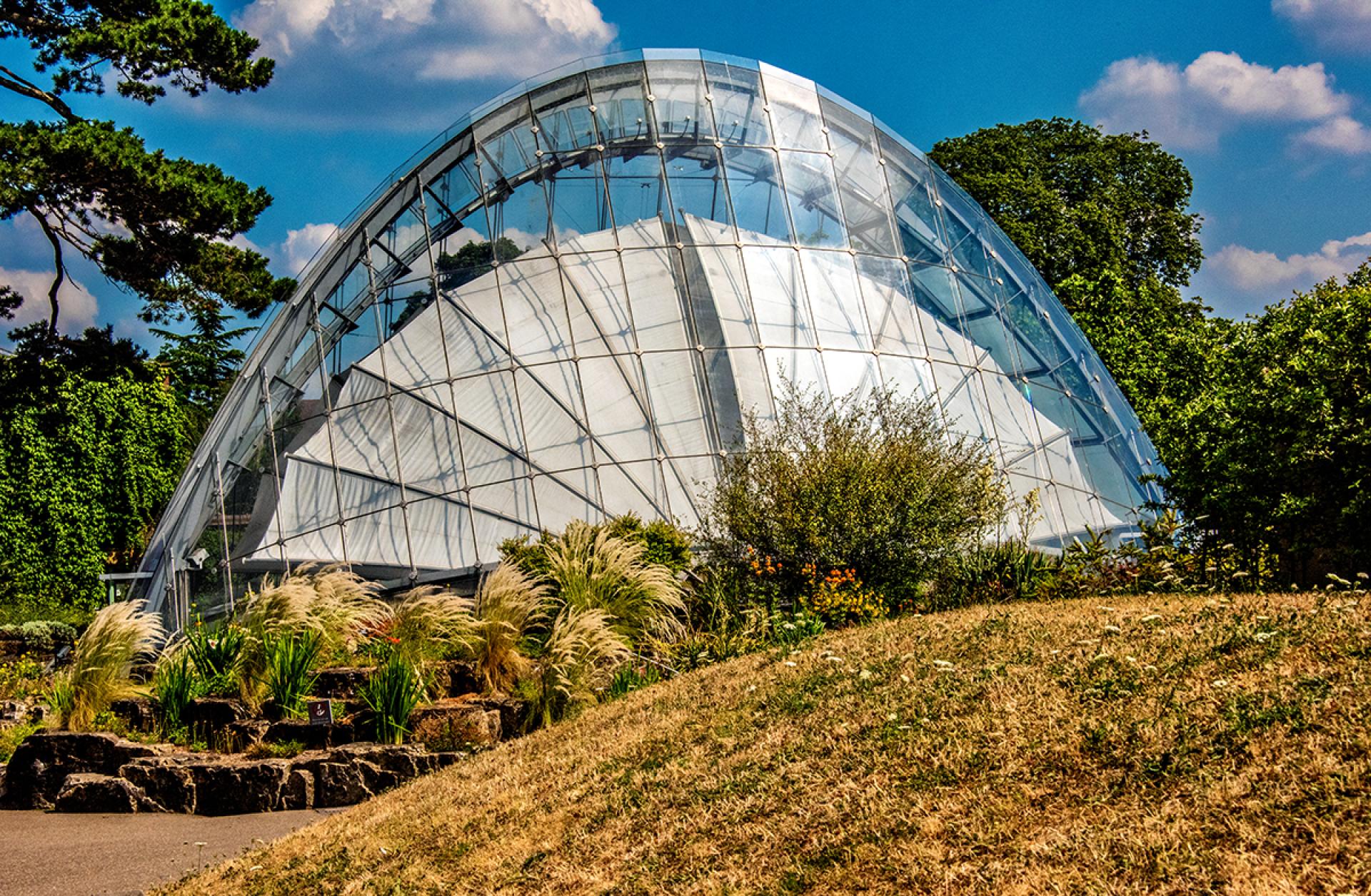London Photography Awards Winner - Davies Alpine House