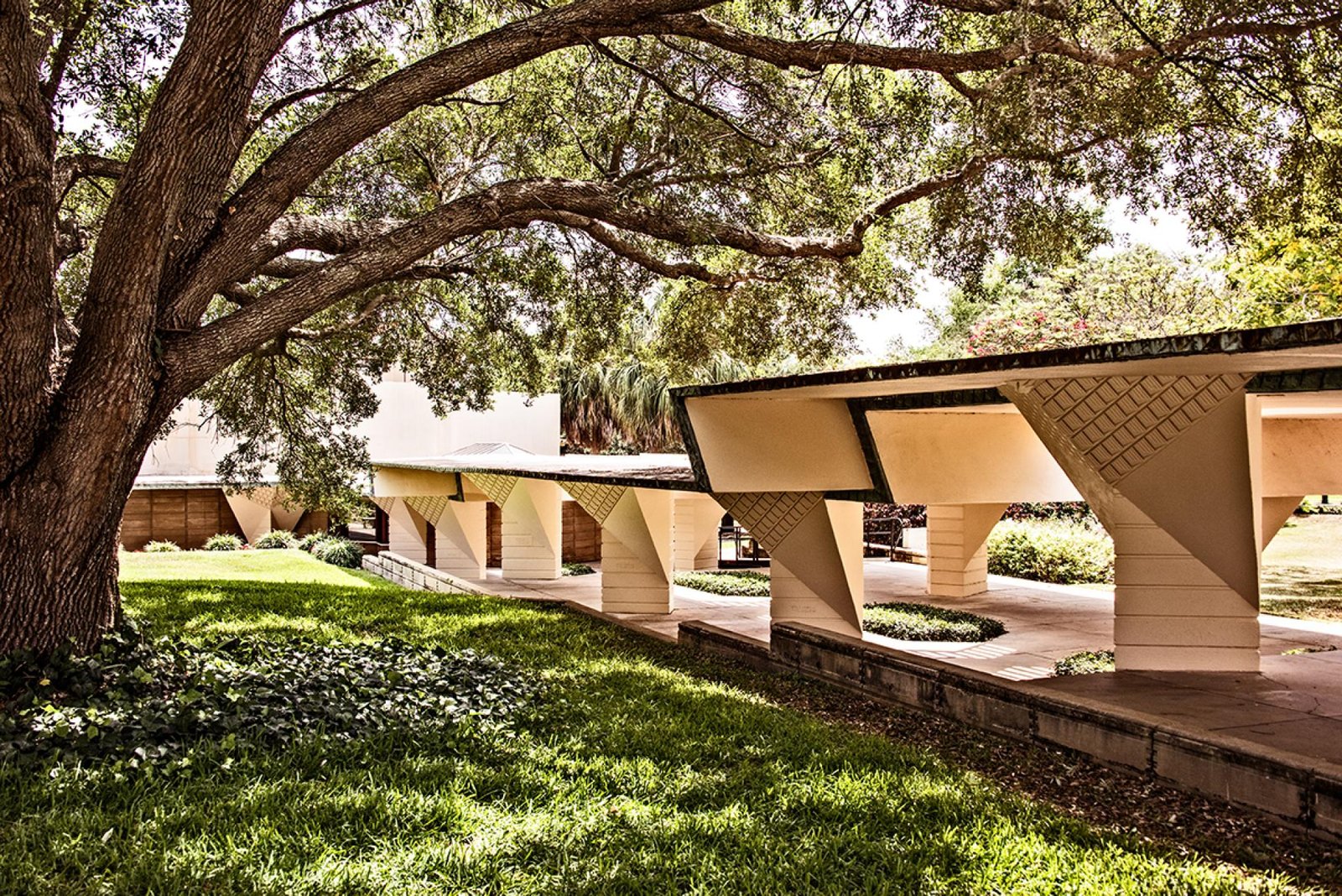 London Photography Awards Winner - Florida Southern