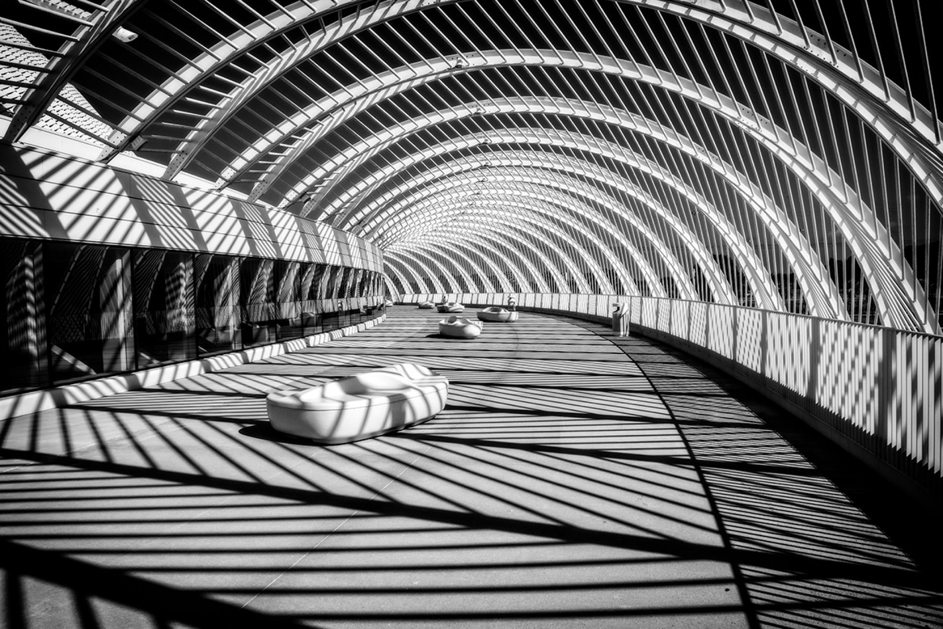 London Photography Awards Winner - Shadows
