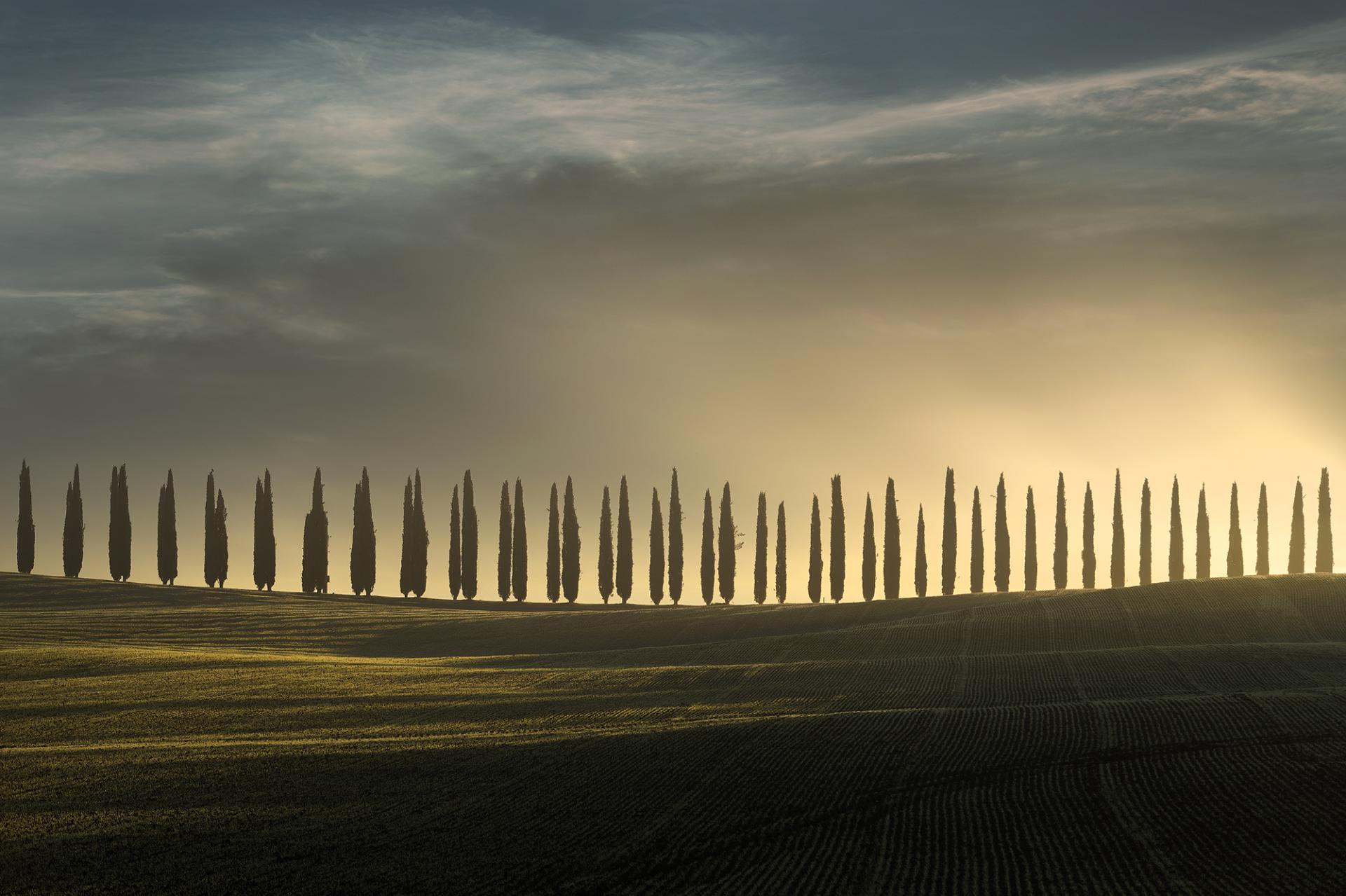 London Photography Awards Winner - Moment of Bliss in Tuscany
