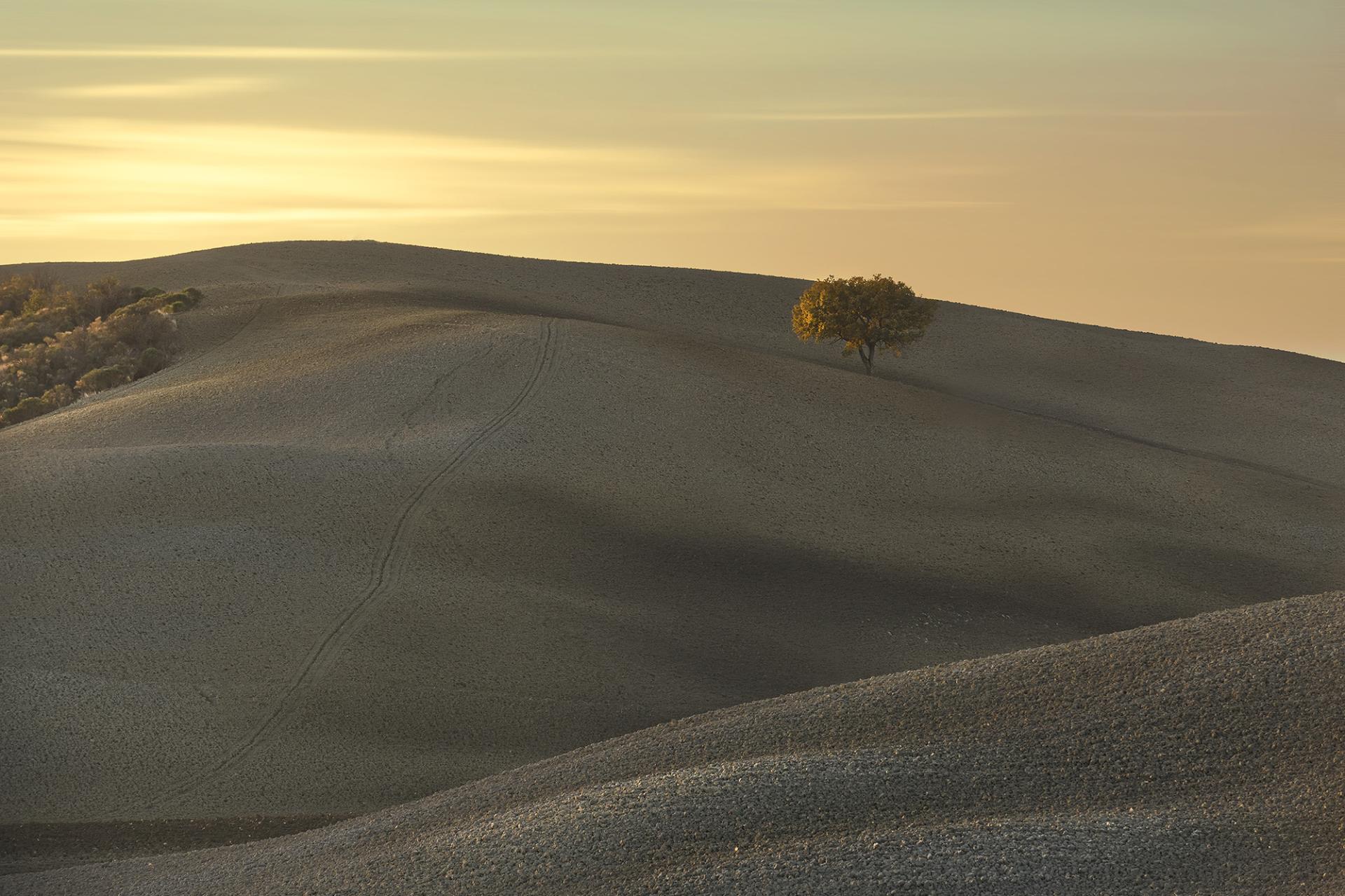 London Photography Awards Winner - Val d'Orcia Land in Autumn