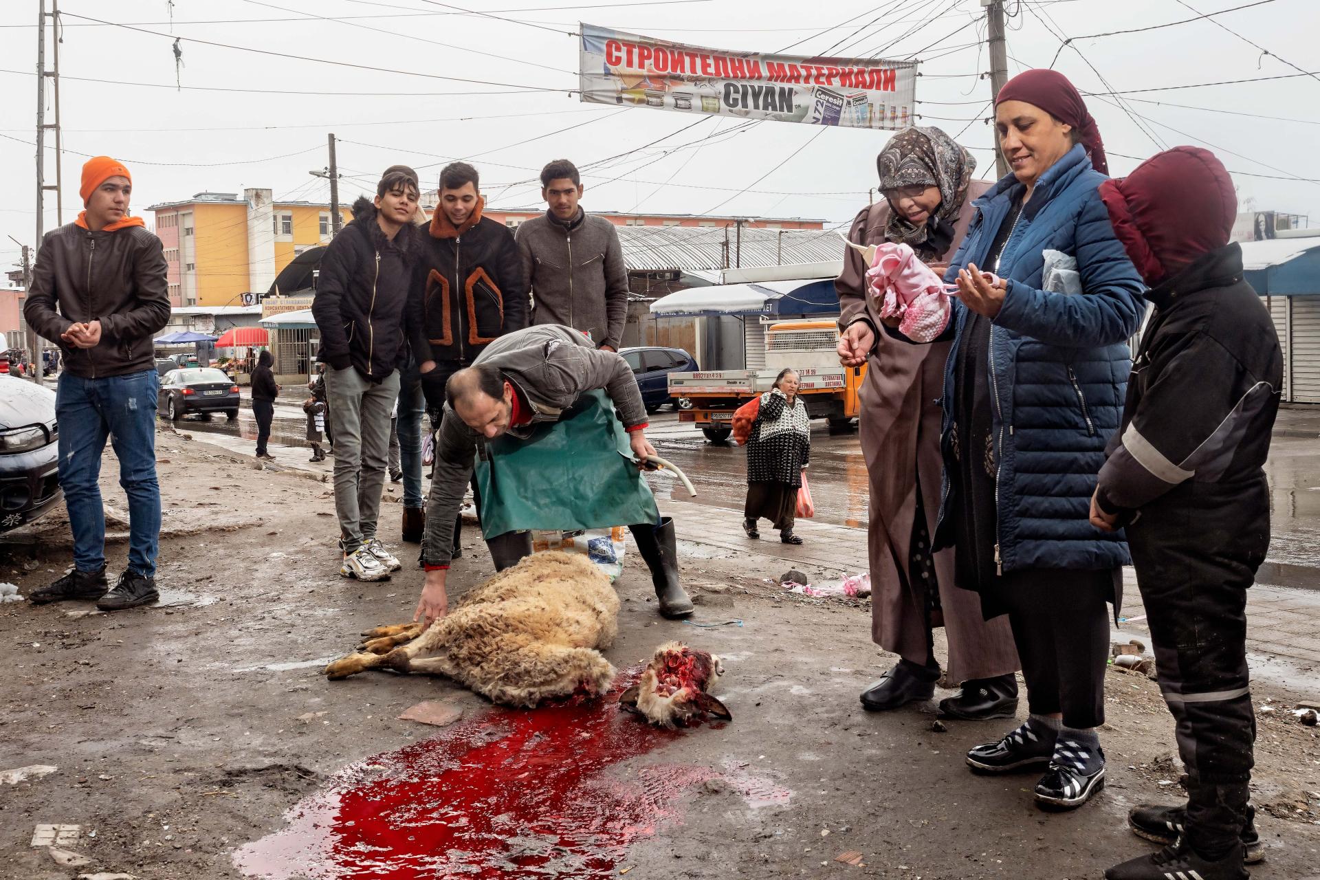 London Photography Awards Winner - ZOR - At Europe's Biggest Gypsy Ghetto