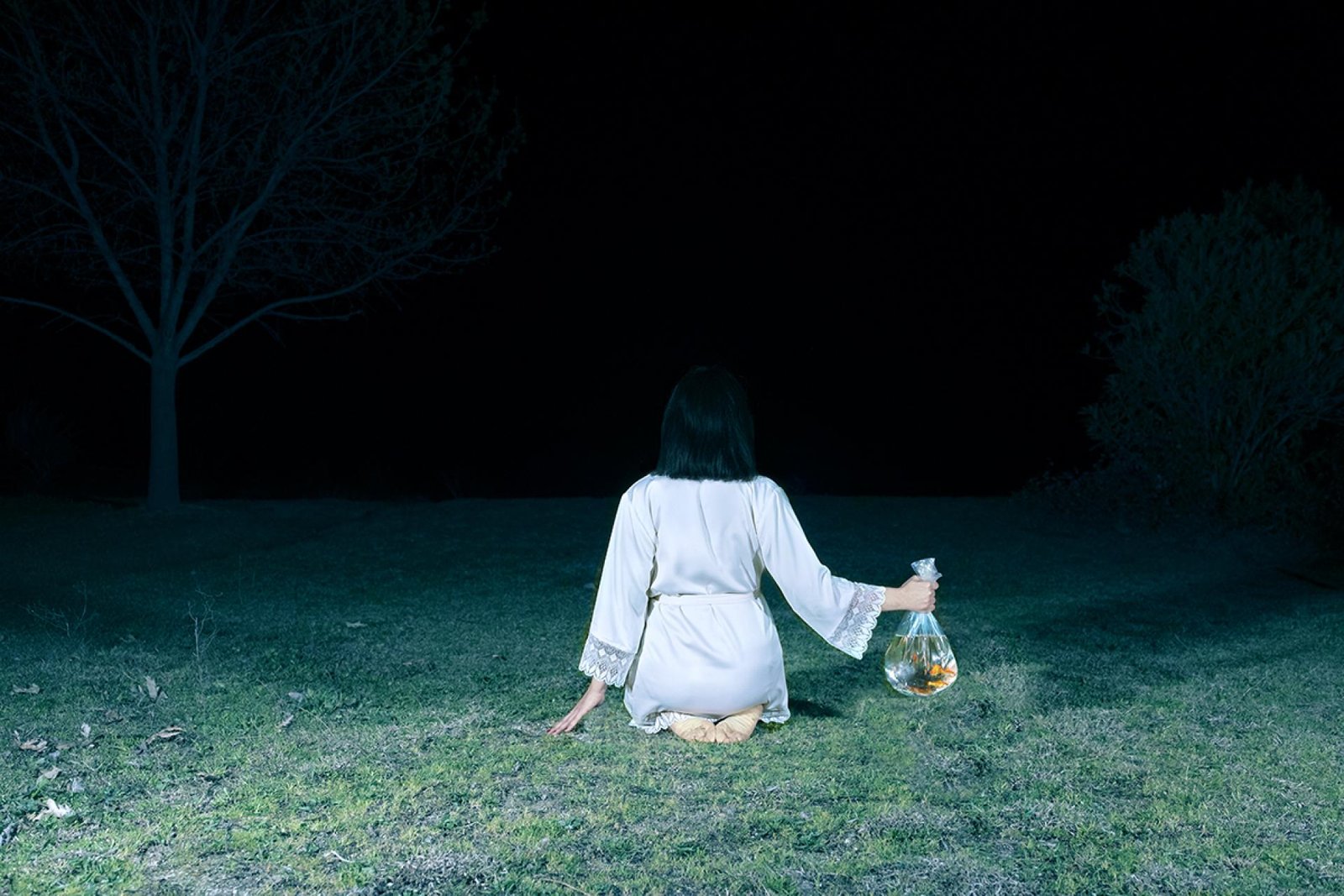 London Photography Awards Winner - The Dream