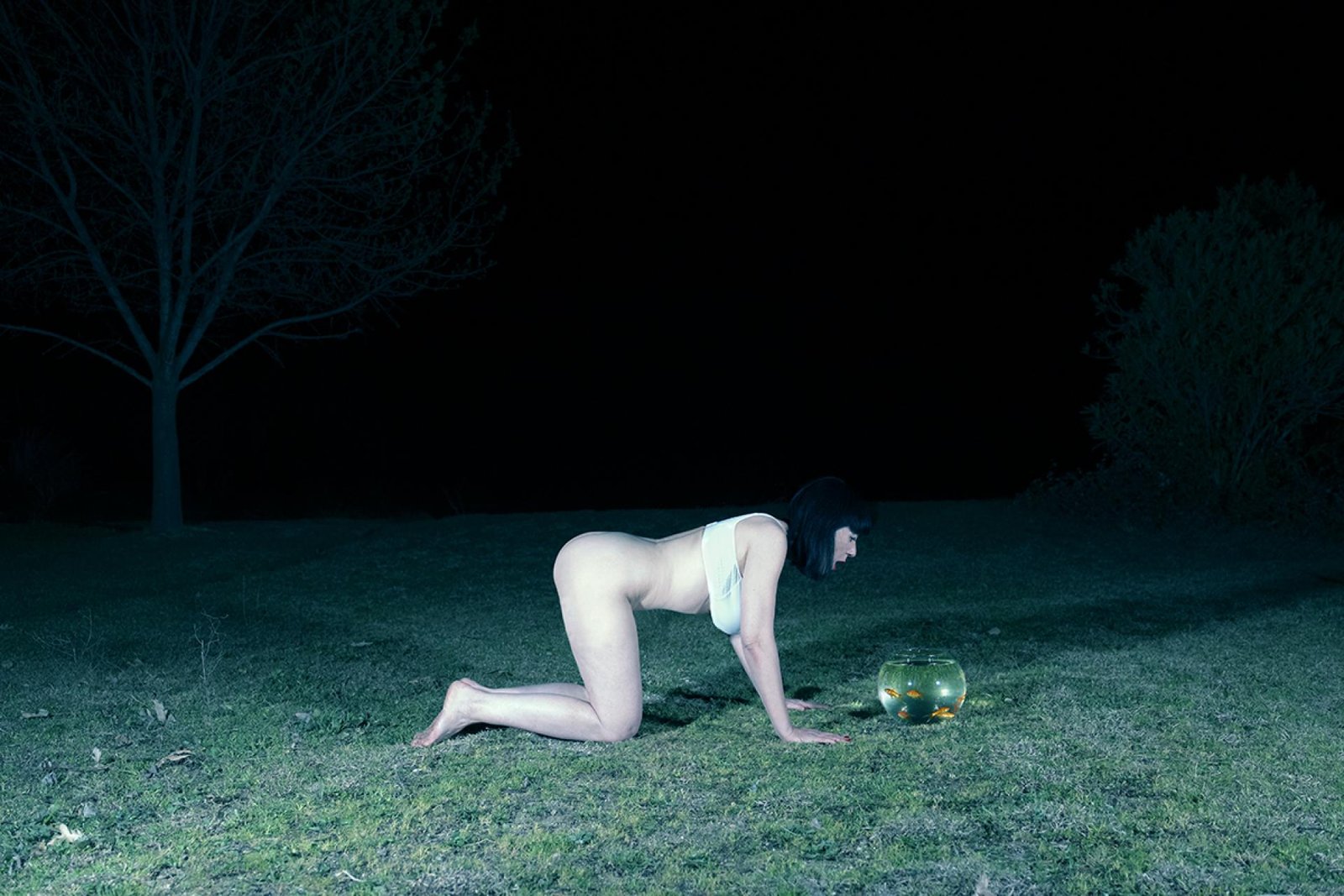London Photography Awards Winner - The Dream