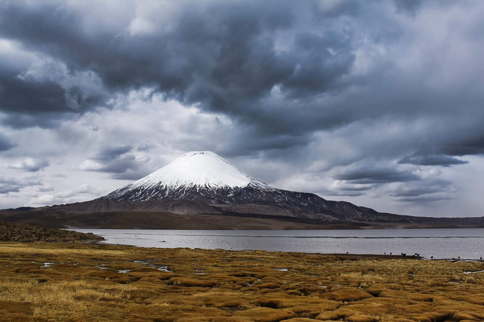 London Photography Awards Winner - A storm in andean life