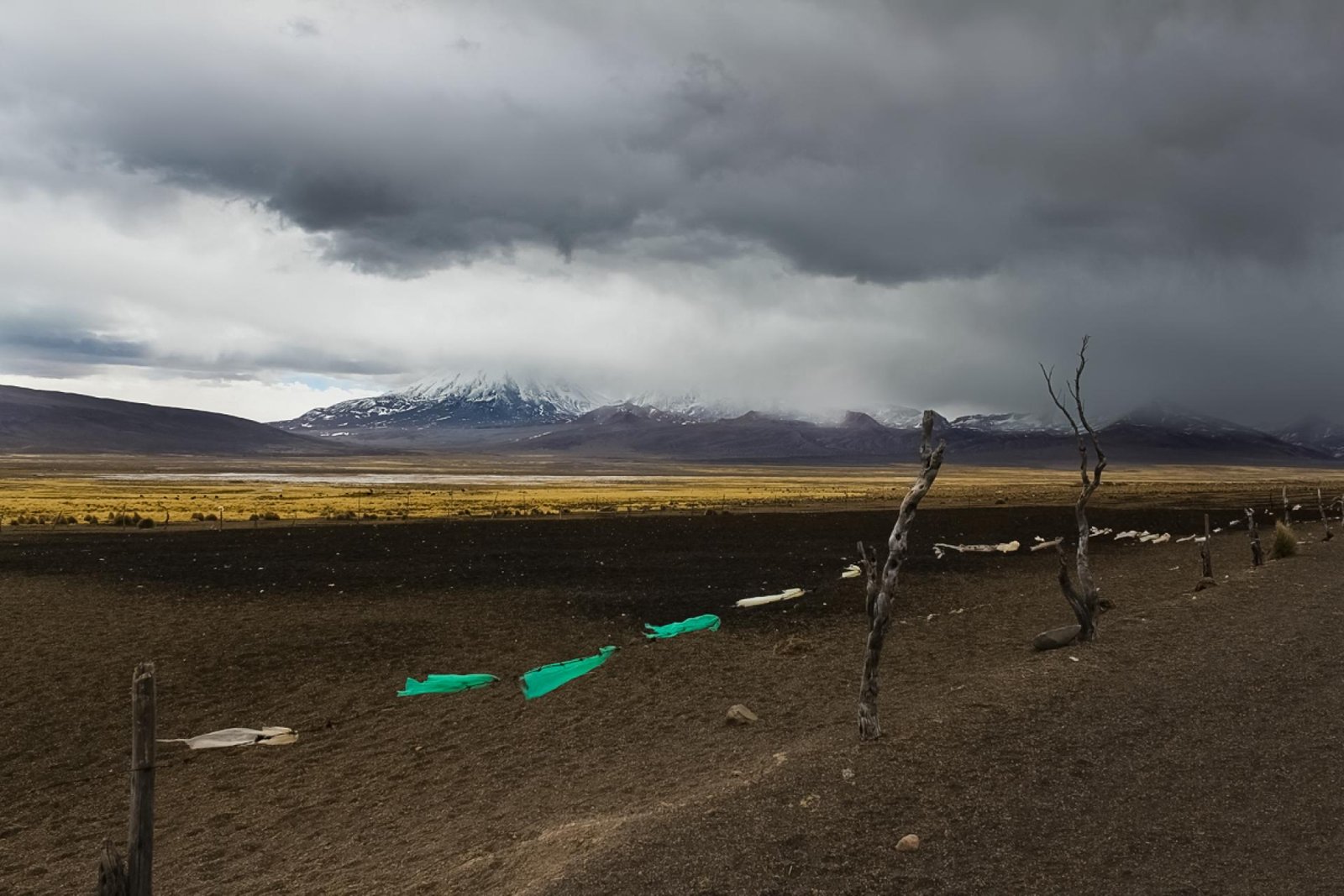 London Photography Awards Winner - A storm in andean life