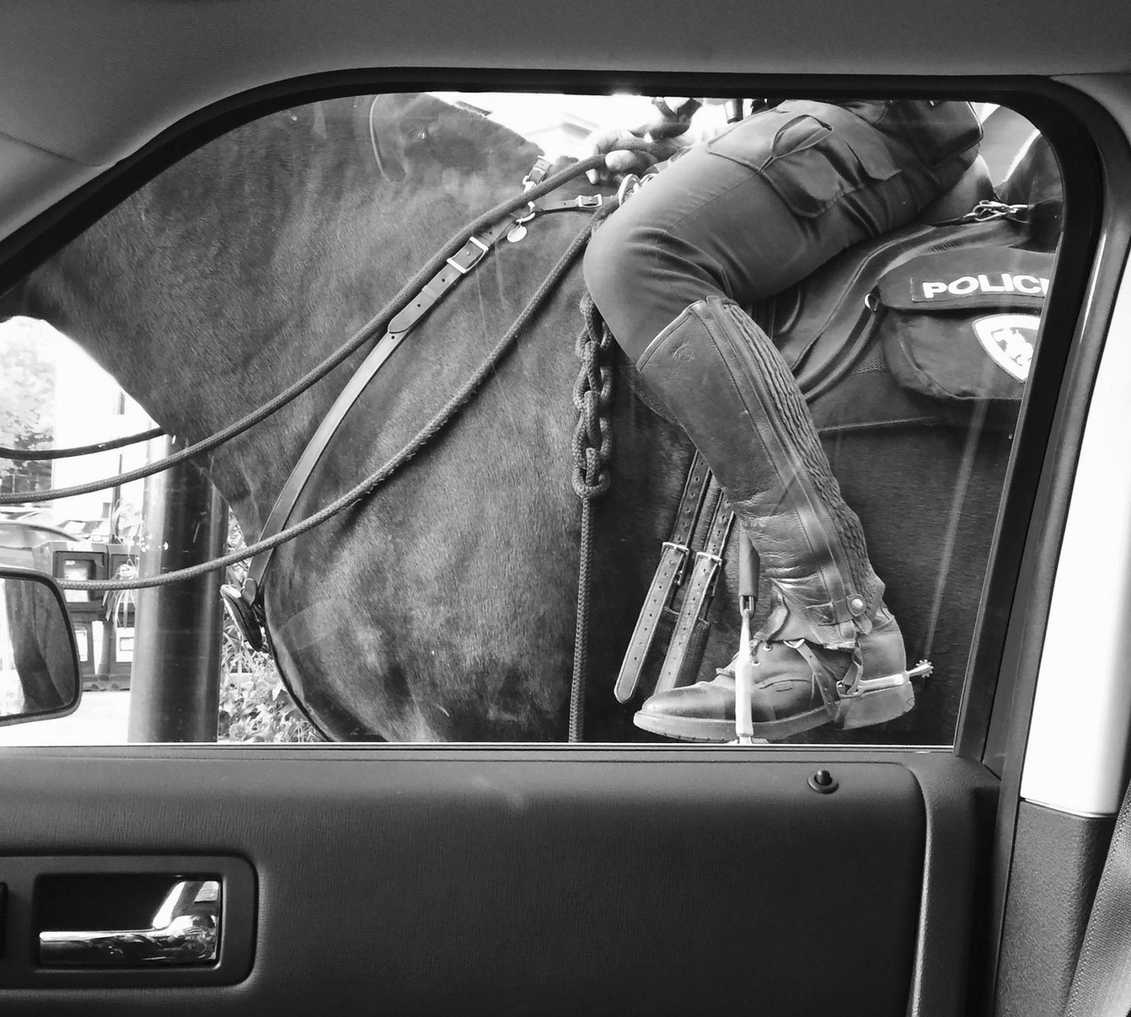 London Photography Awards Winner - Equus: The Horse
