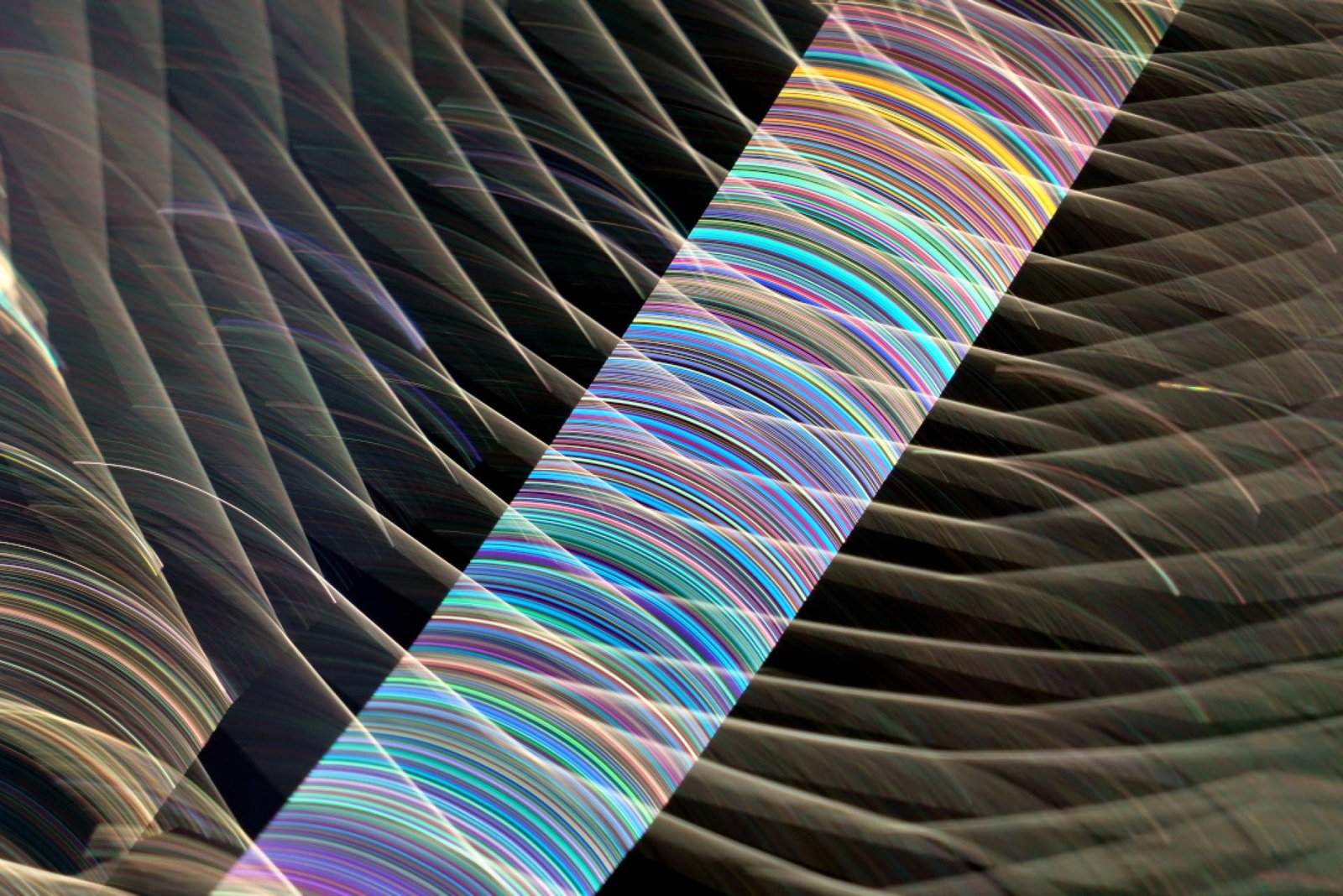 London Photography Awards Winner - Light & Webs