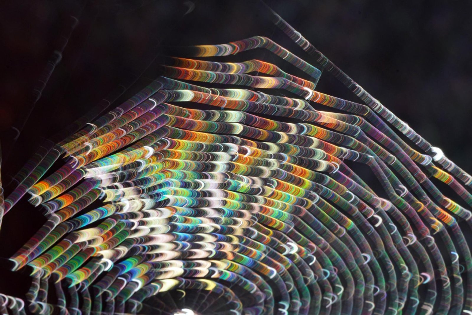 London Photography Awards Winner - Light & Webs