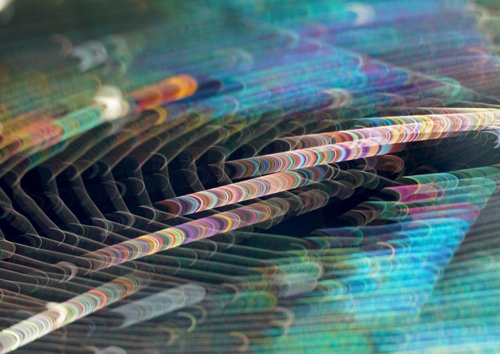 London Photography Awards Winner - Light & Webs