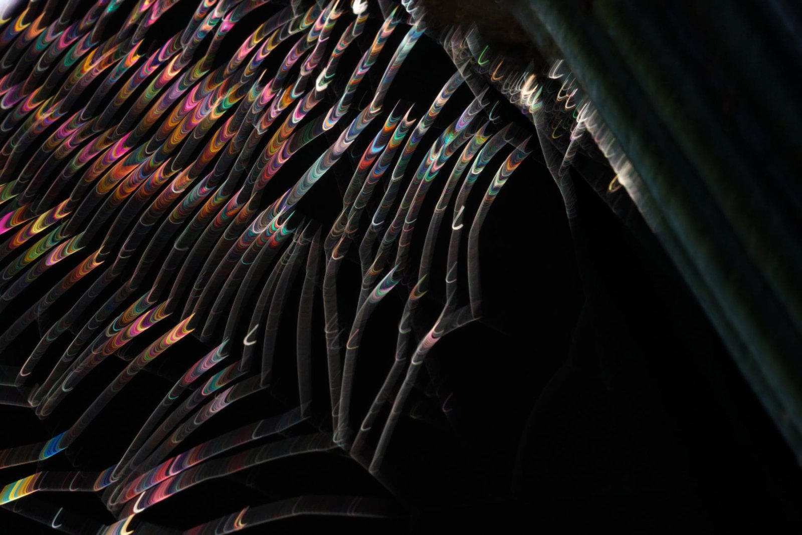 London Photography Awards Winner - Light & Webs