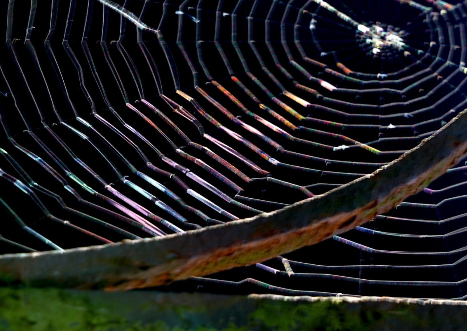London Photography Awards Winner - Light & Webs
