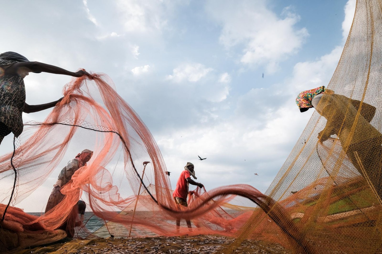 London Photography Awards Winner - Negombo Fishing nets