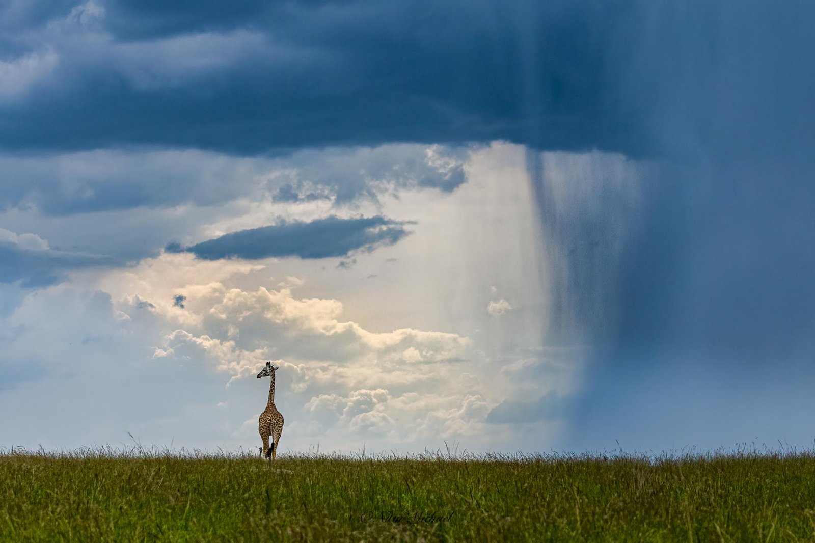 London Photography Awards Winner - Away from the storm