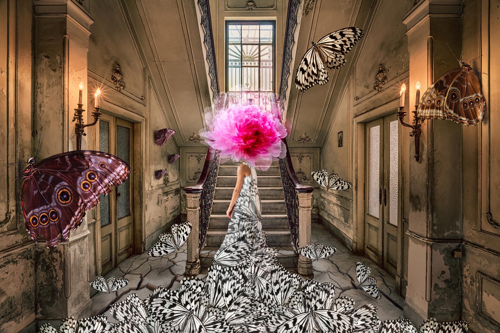 London Photography Awards Winner - Fragments Of A Forgotten Symphony