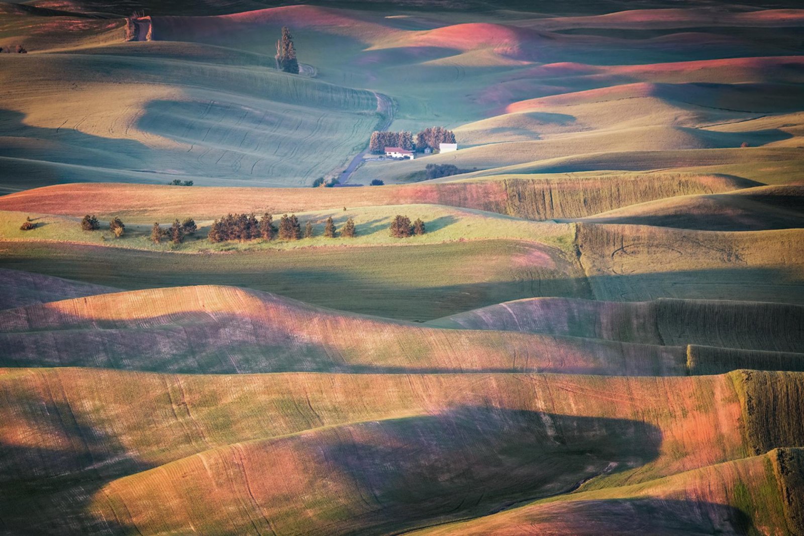 London Photography Awards Winner - Palouse wheat fields 