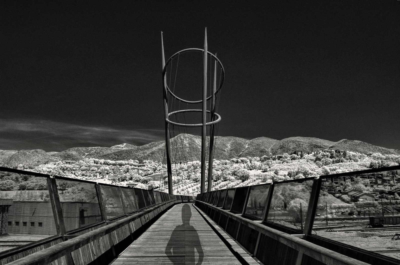London Photography Awards Winner - The determination of light