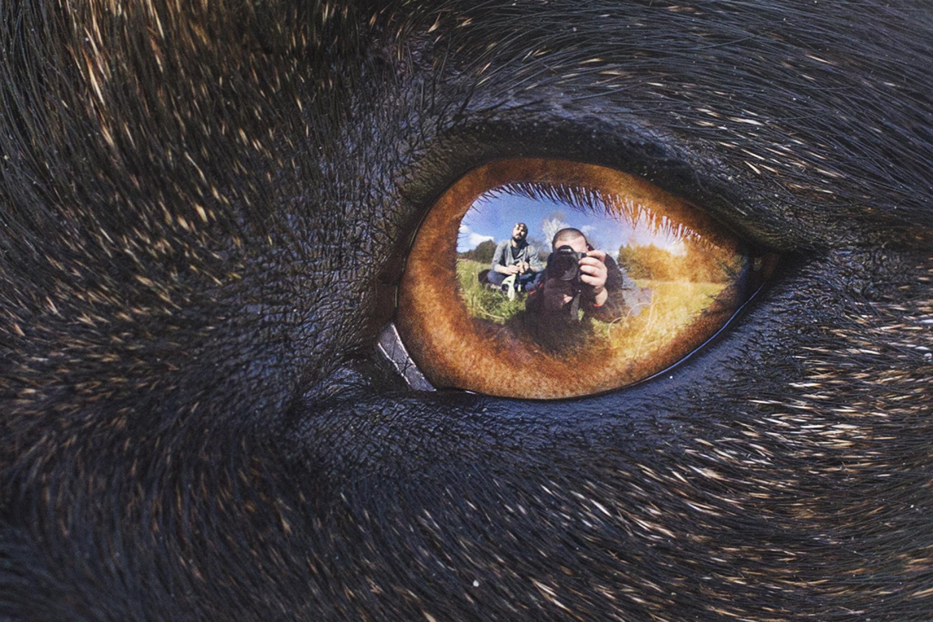 London Photography Awards Winner - Crono's Eye
