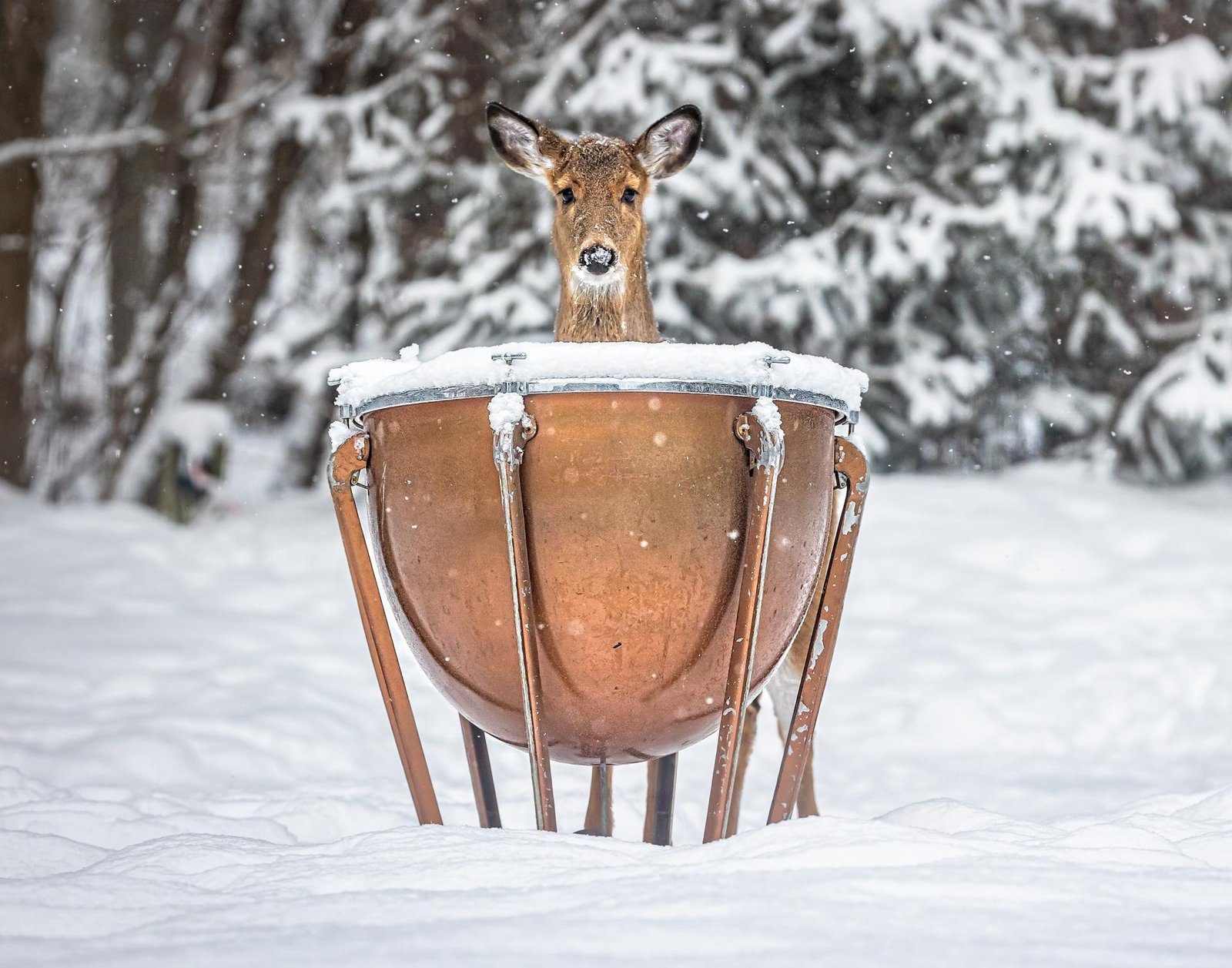 London Photography Awards Winner - waiting for my cue