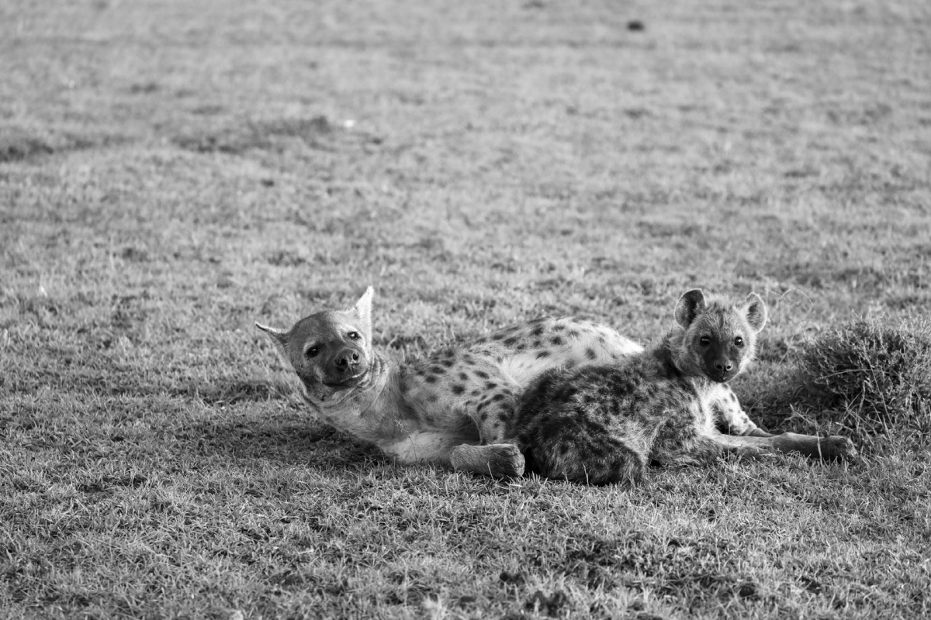 London Photography Awards Winner - Curious Babes
