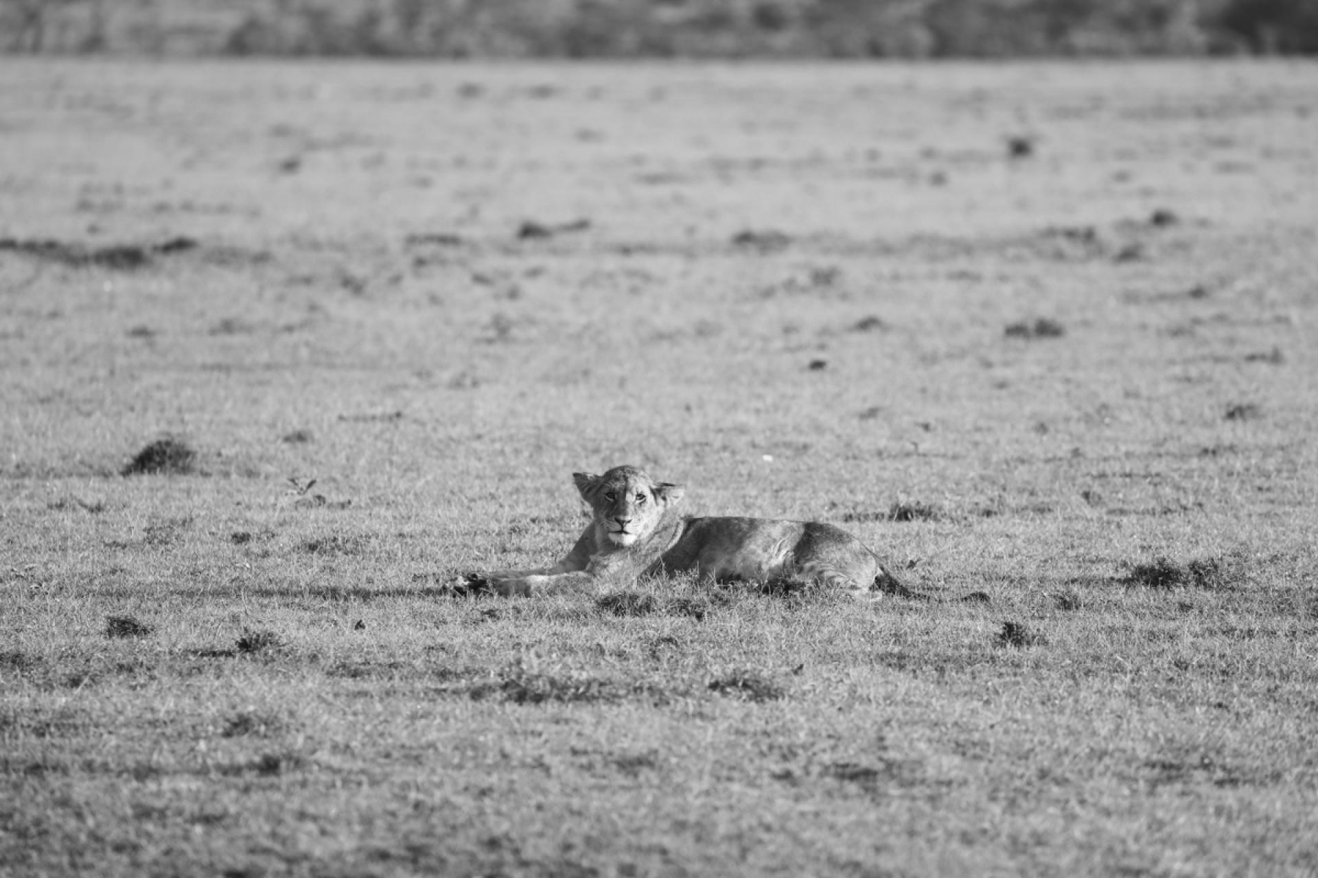 London Photography Awards Winner - Curious Babes