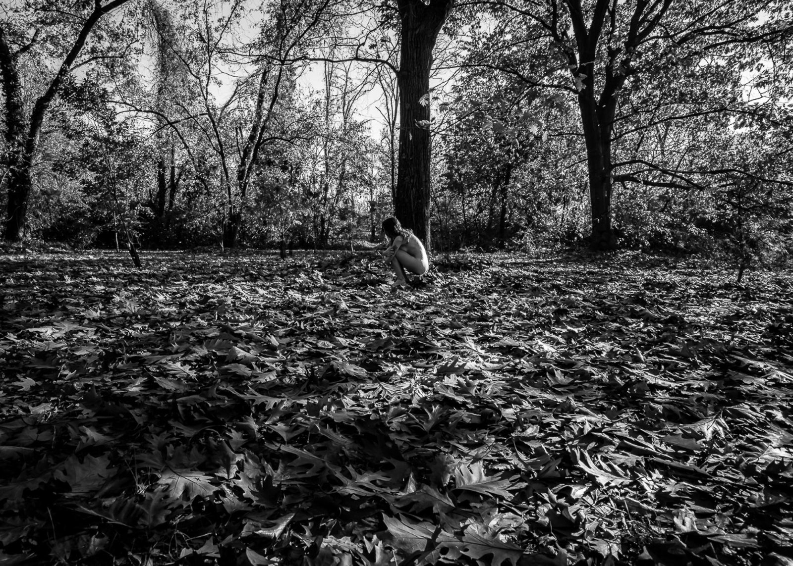 London Photography Awards Winner - 