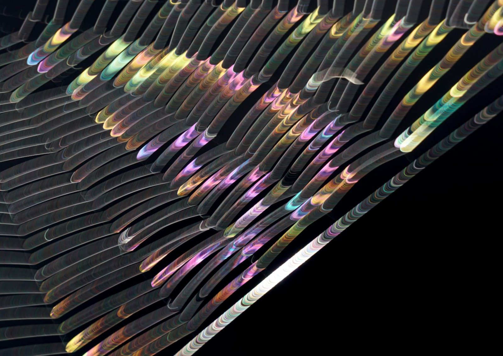 London Photography Awards Winner - Spiderweb