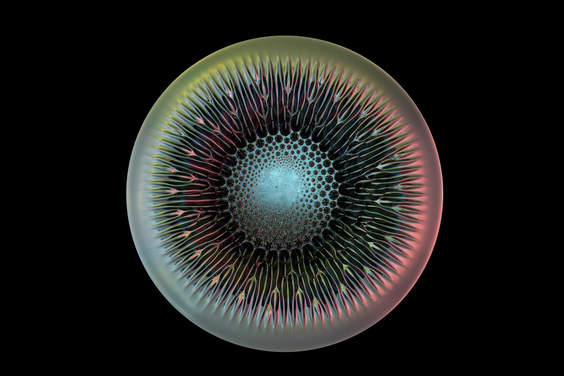 London Photography Awards Winner - Metallic Flowers