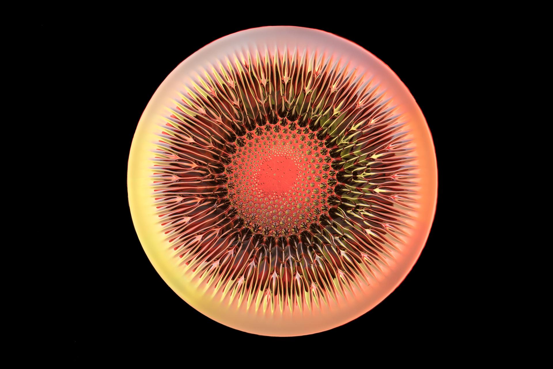 London Photography Awards Winner - Metallic Flowers