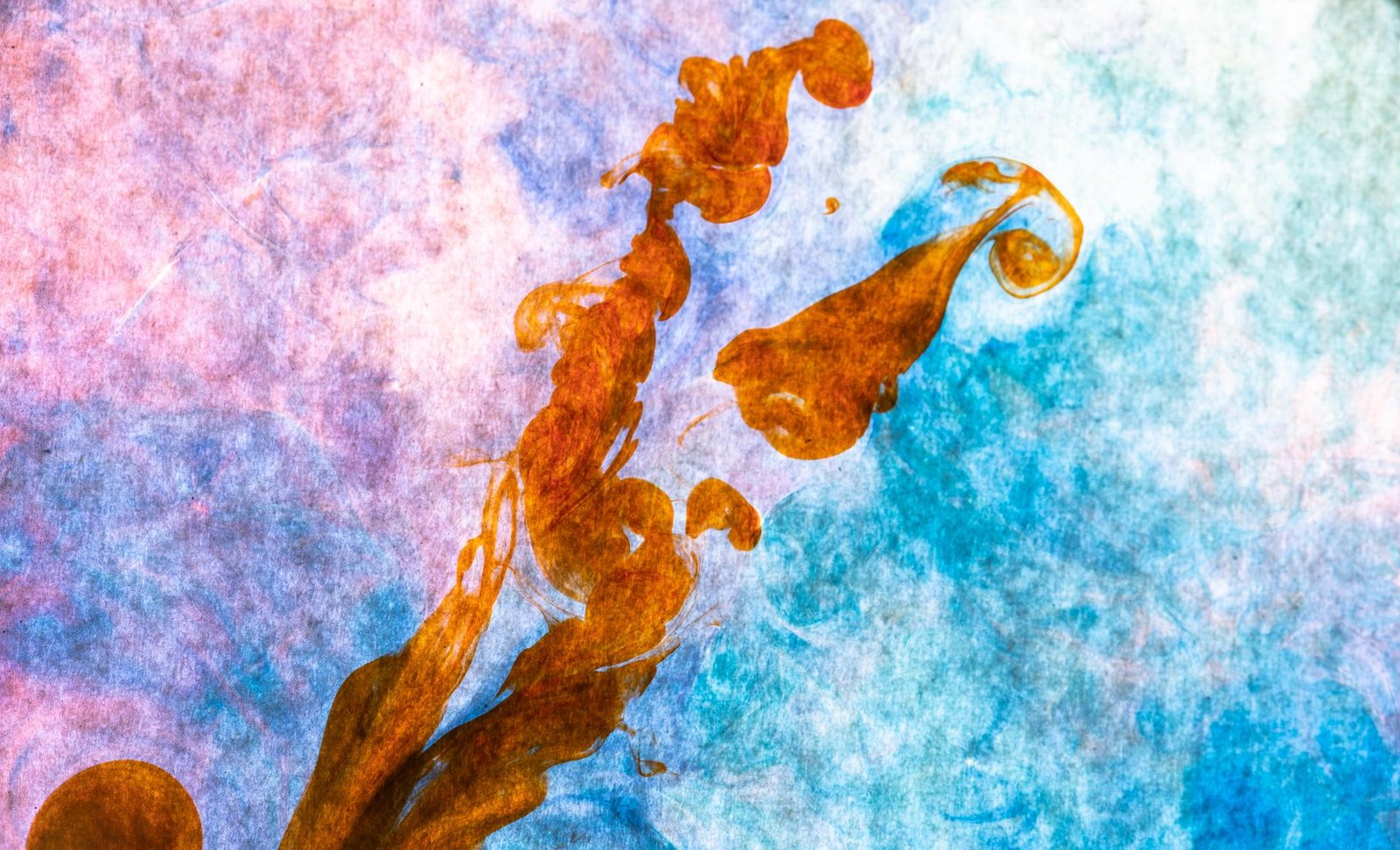 London Photography Awards Winner - Alchemy of Life