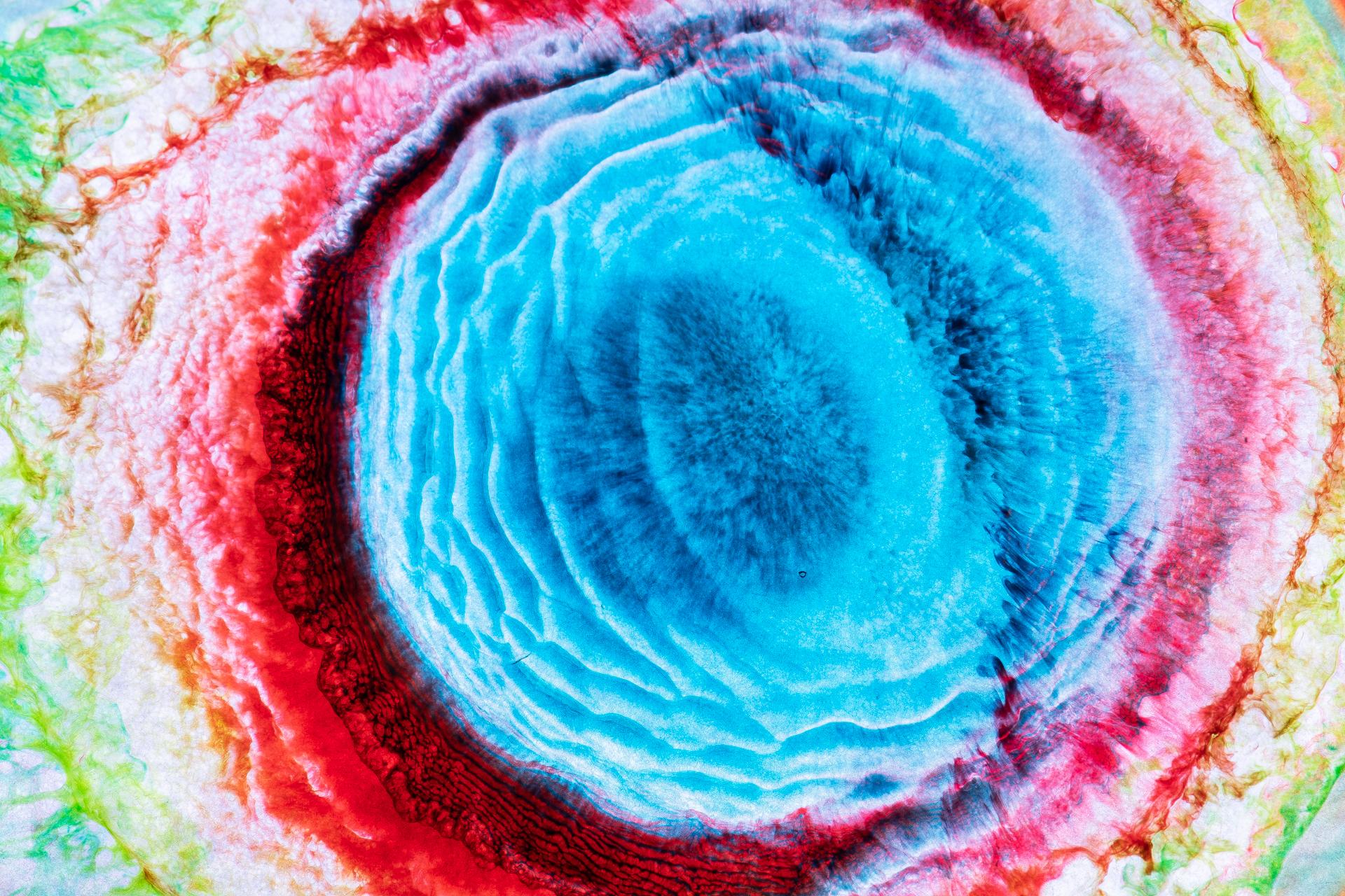 London Photography Awards Winner - Alchemy of Life, II