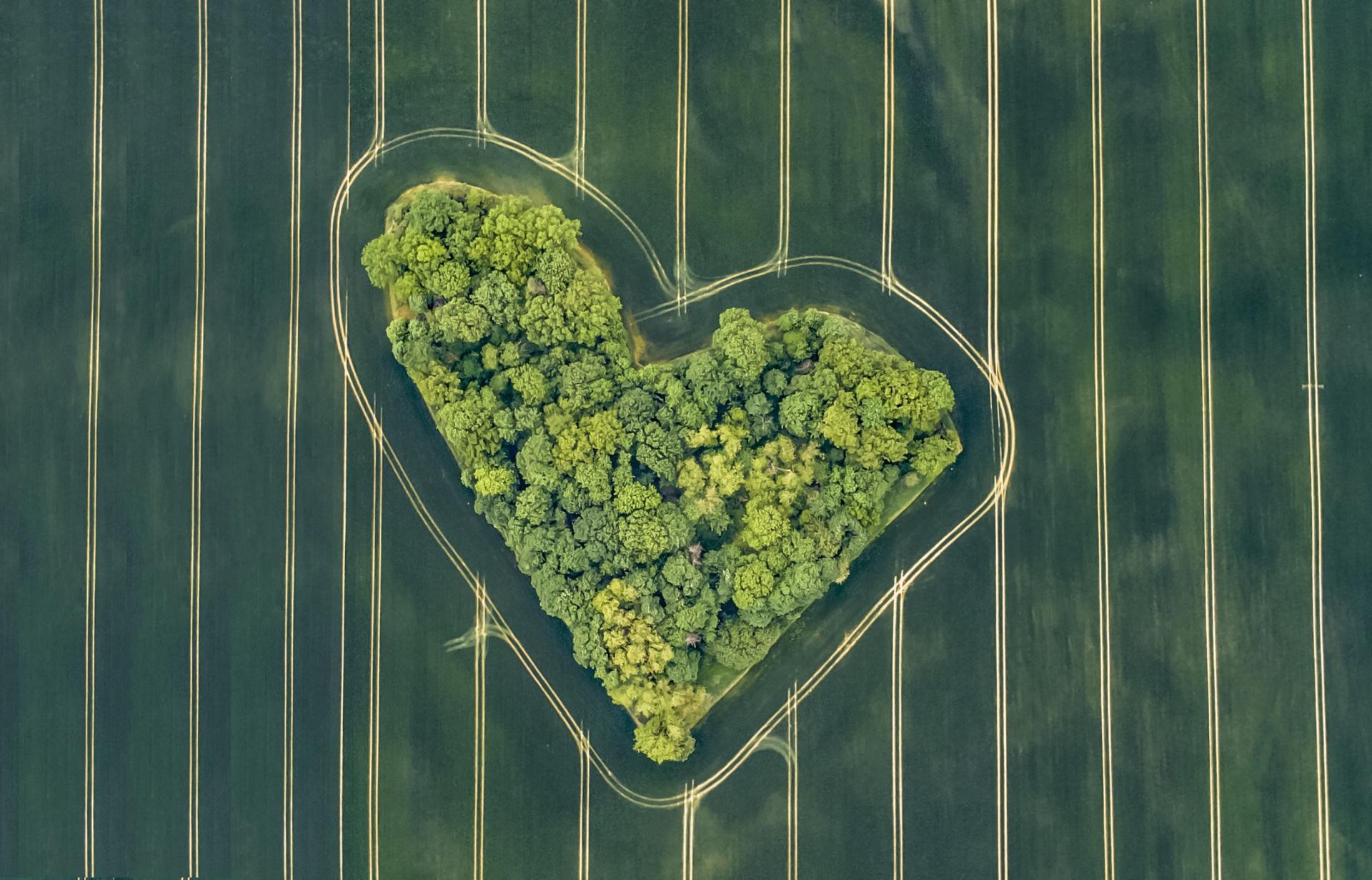 London Photography Awards Winner - The weather and heart conditions