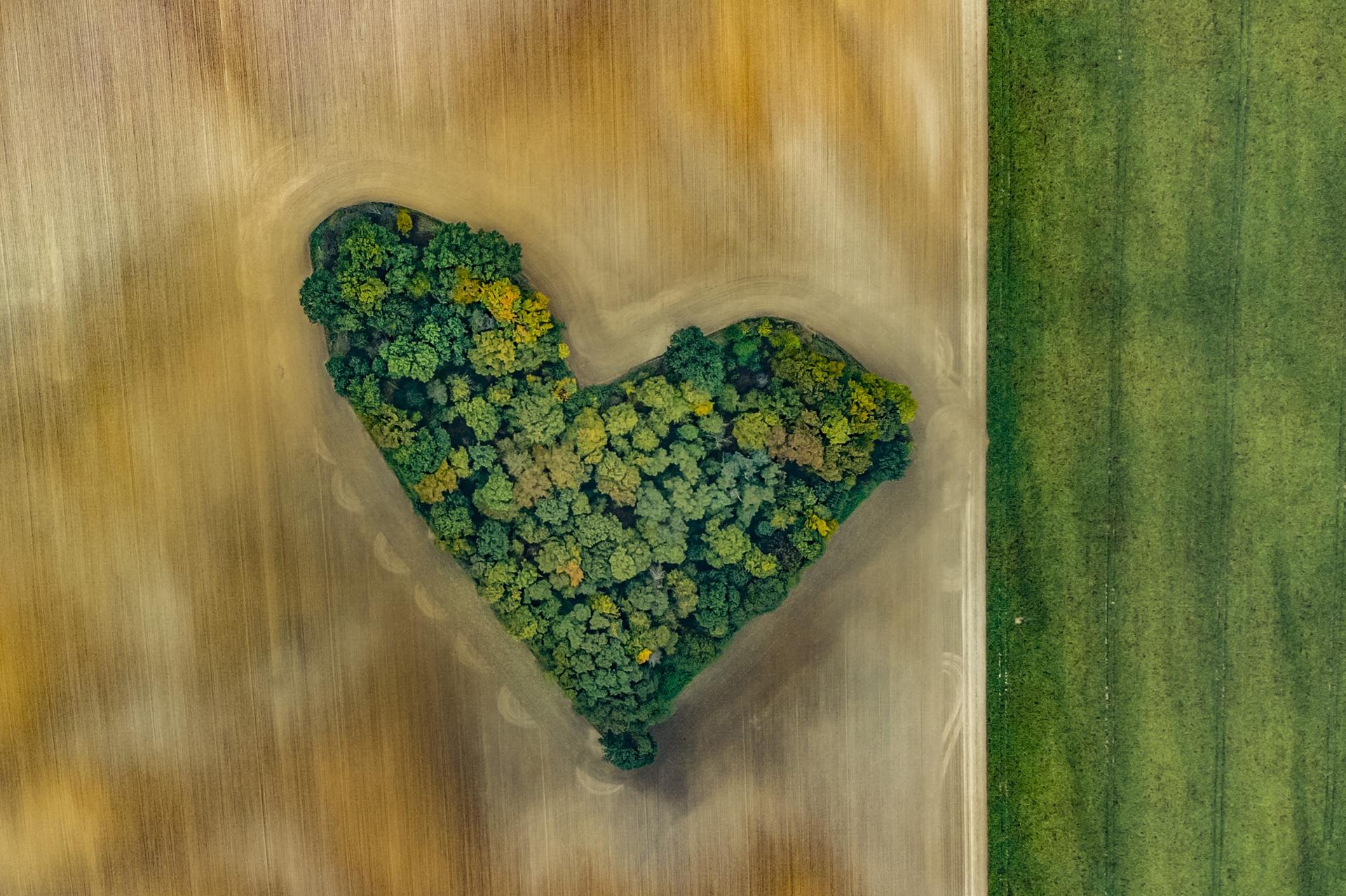 London Photography Awards Winner - The weather and heart conditions