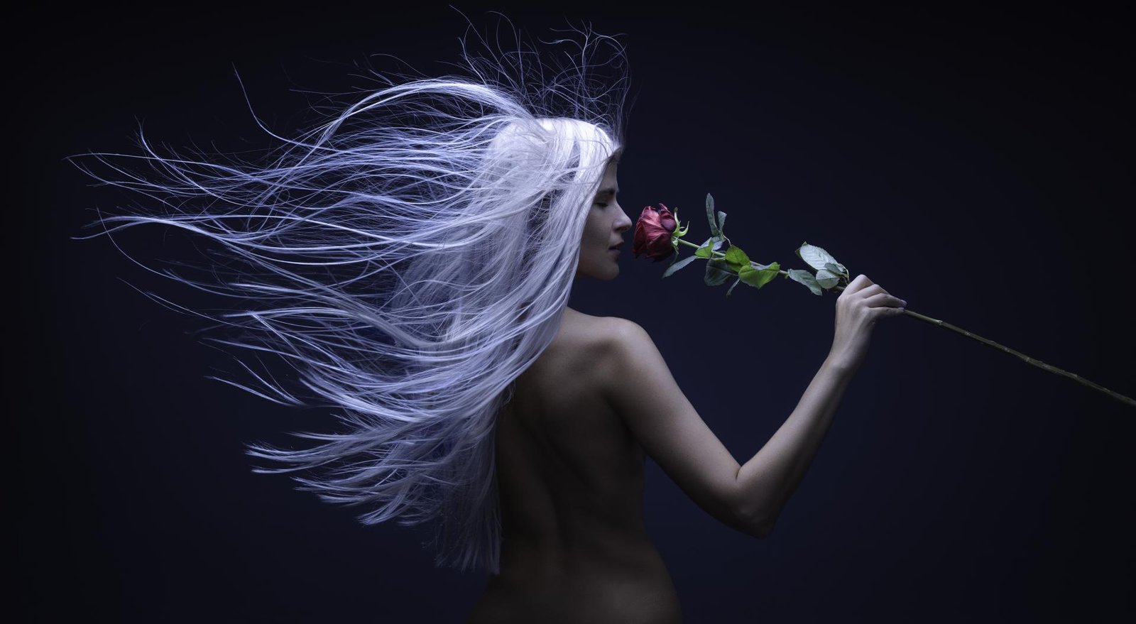 London Photography Awards Winner - Northern wind