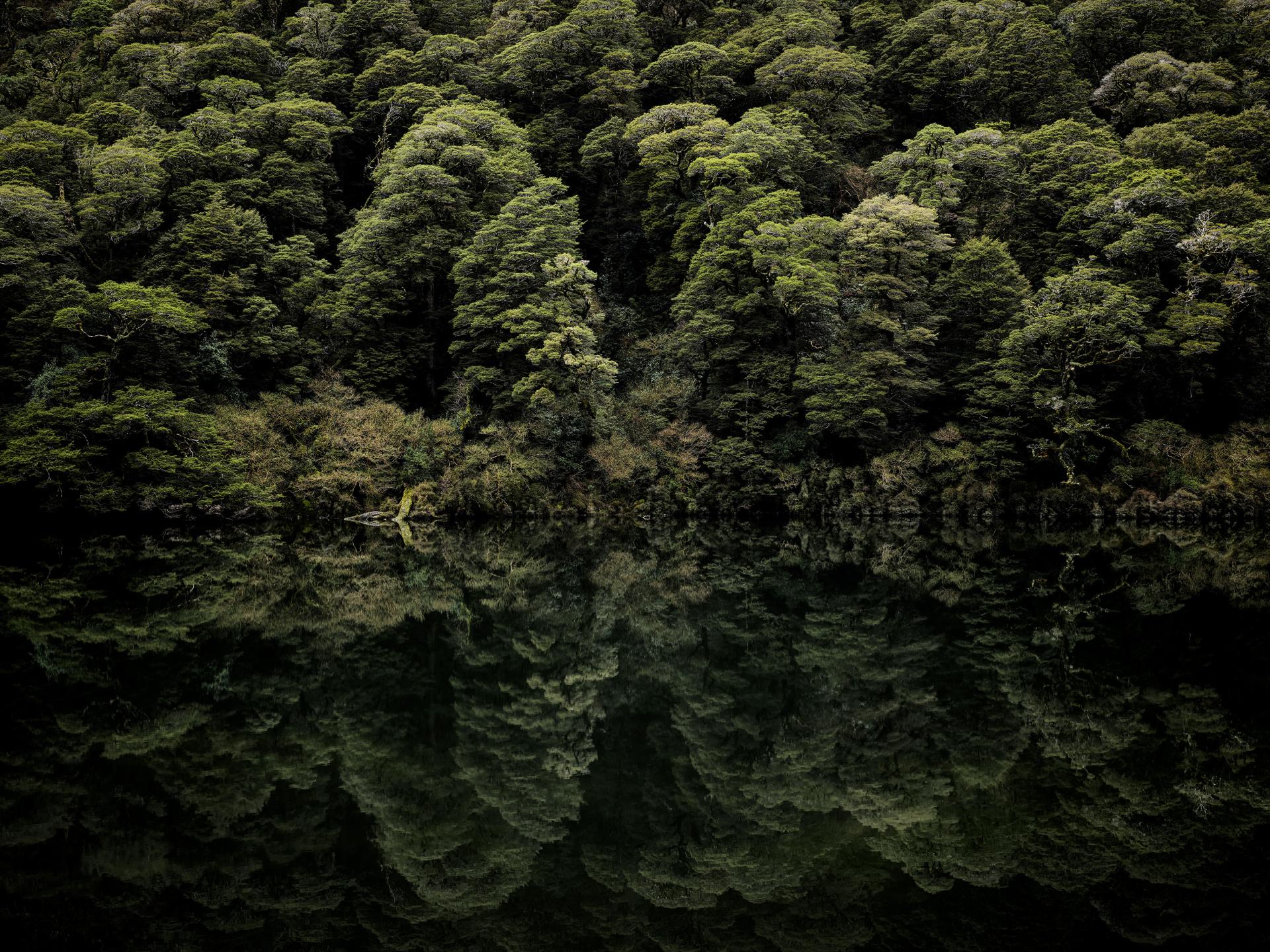 London Photography Awards Winner - Lake Lochie