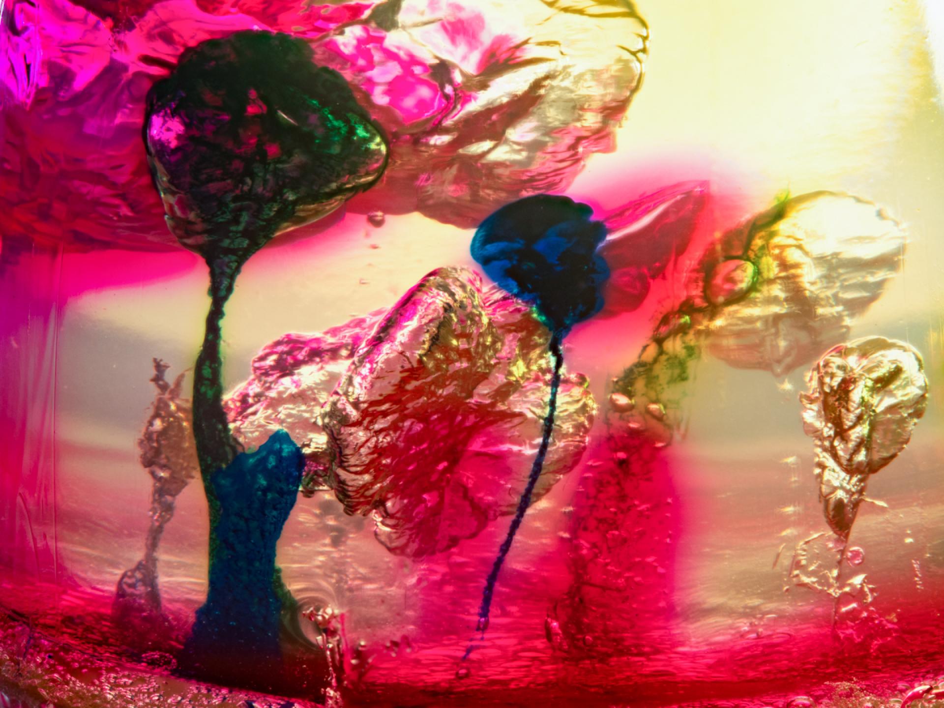 London Photography Awards Winner - A Tribute to Piero and Wassily