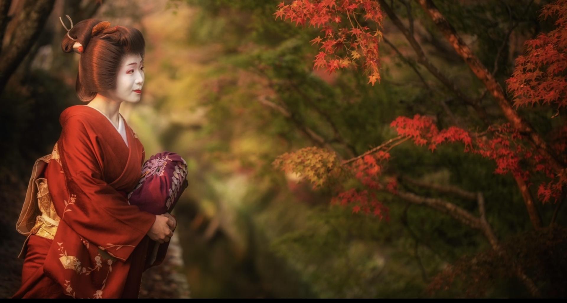 London Photography Awards Winner - The Four Seasons of Autumn