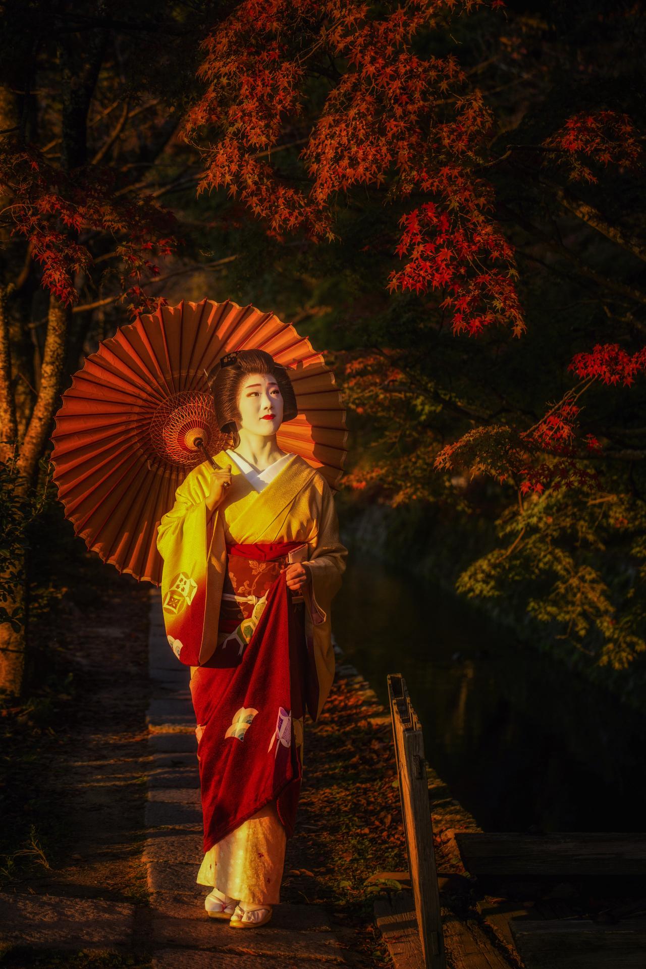 London Photography Awards Winner - The Four Seasons of Autumn