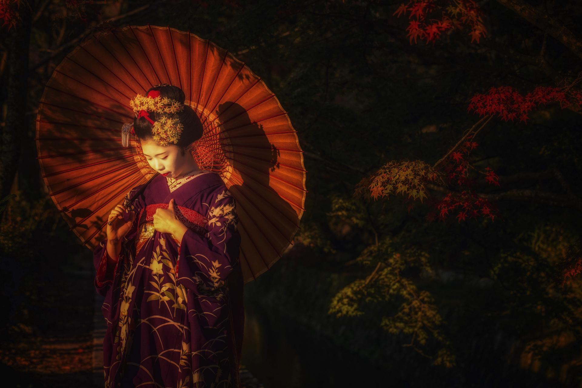 London Photography Awards Winner - The Four Seasons of Autumn