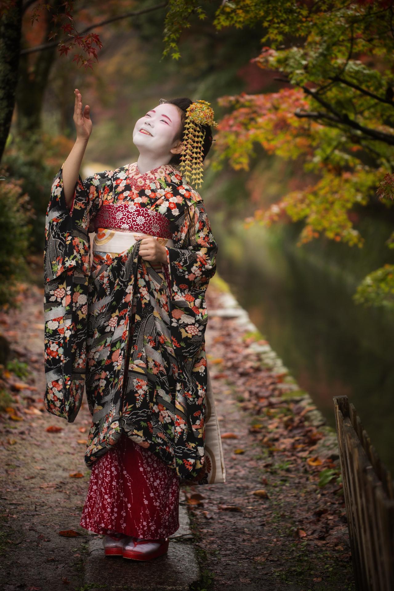 London Photography Awards Winner - The Four Seasons of Autumn