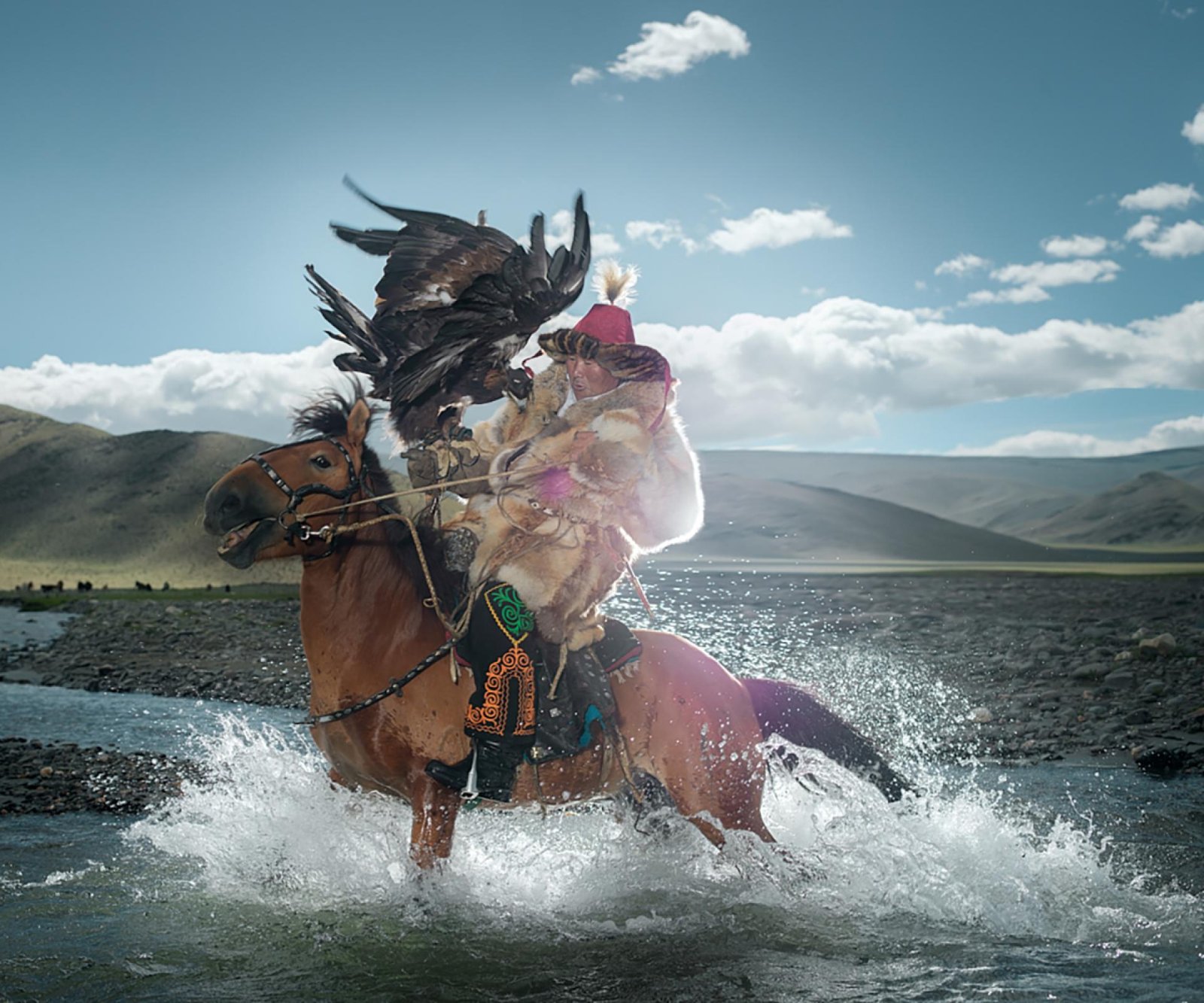 London Photography Awards Winner - Eagle Hunter